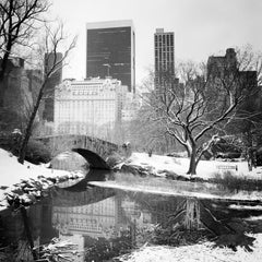 Schneebedeckter Central Park New York City Schwarz-Weiß-Kunst-Stadtbilddruck