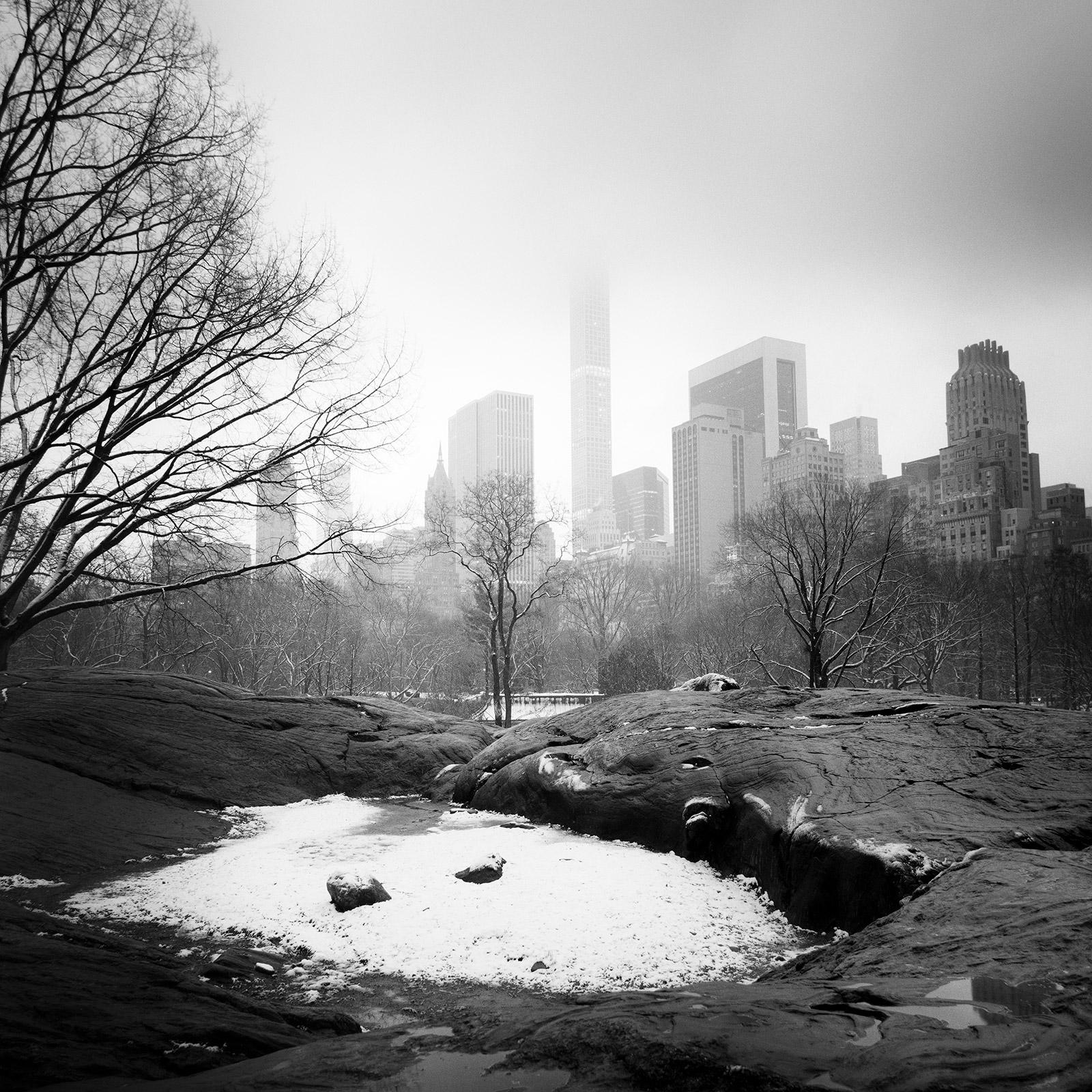 Photographie de paysage urbain recouvert de neige de Central Park, New York, en noir et blanc