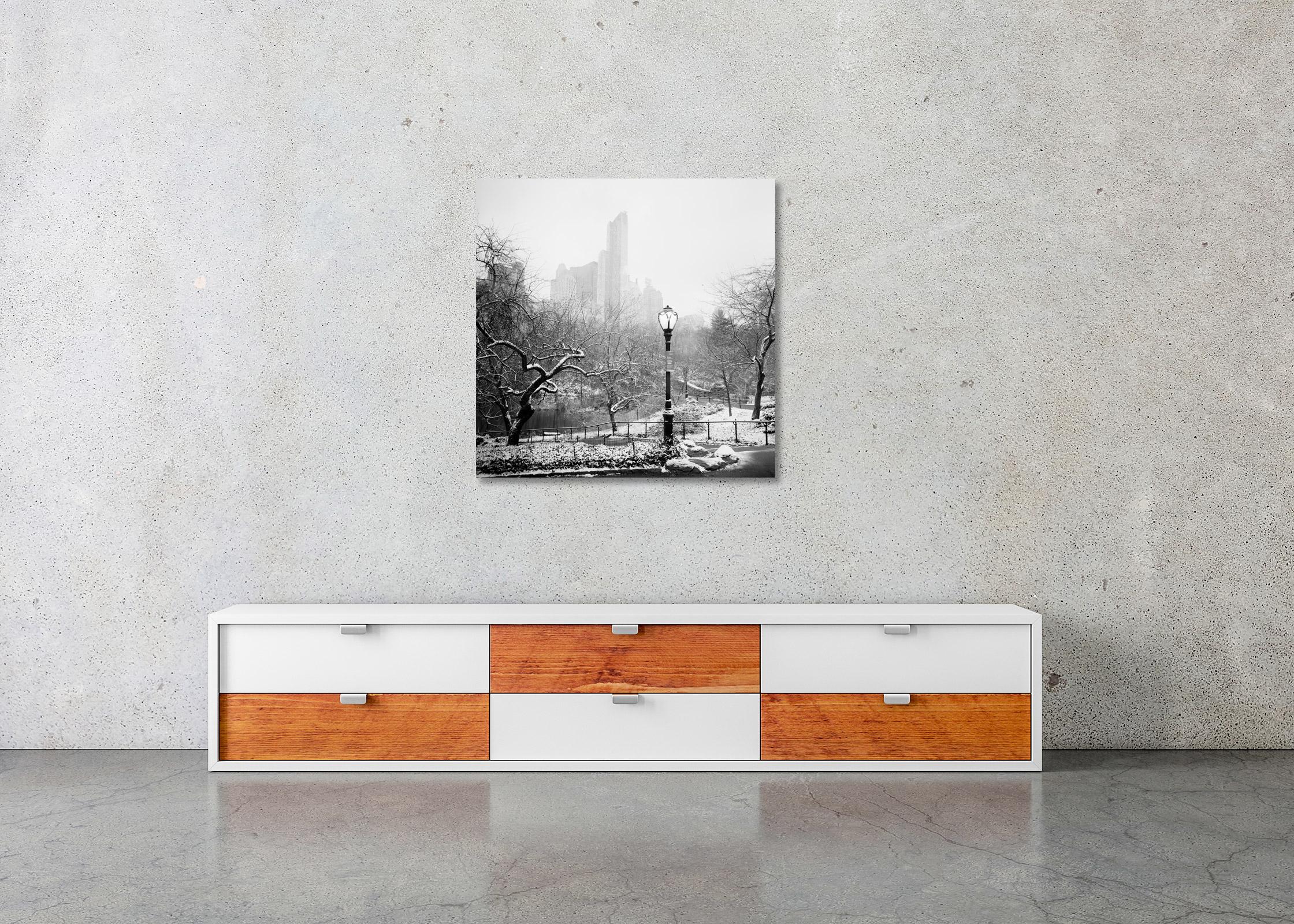Snow covered Central Park New York City black and white cityscape photography 2