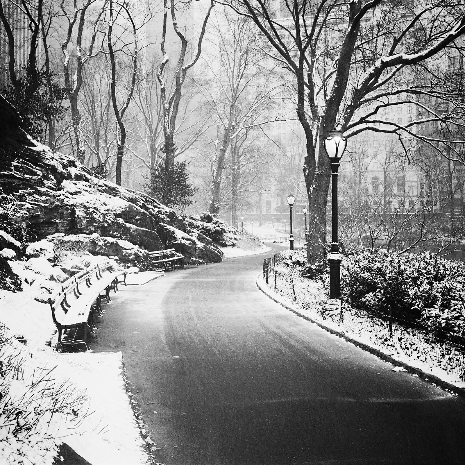 Snow covered Central Park, New York City, black and white cityscape photography