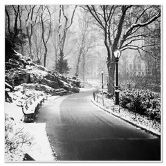 Central Park enneigé New York USA limitée