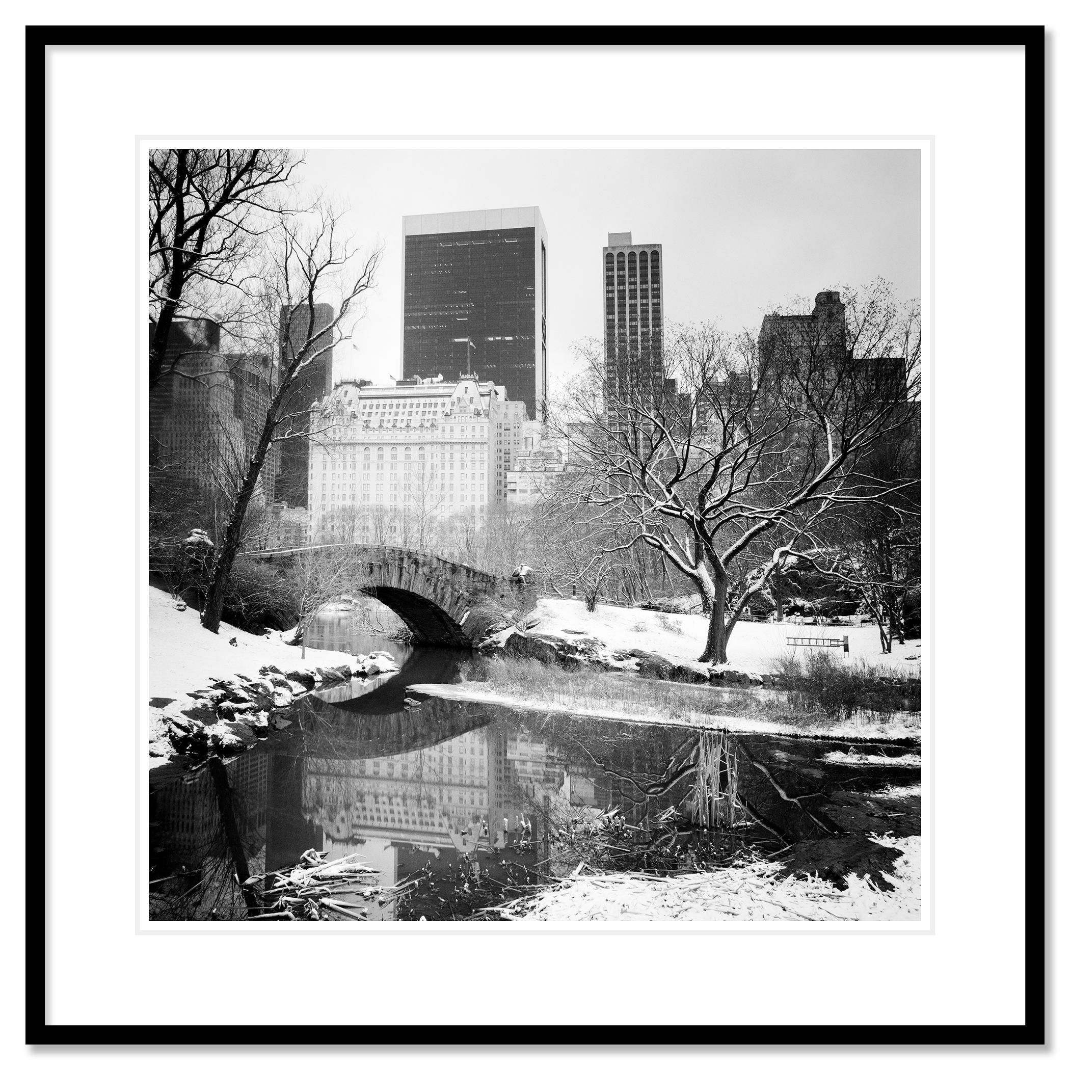 Snow covered Central Park New York City limited - Gray Landscape Photograph by Gerald Berghammer