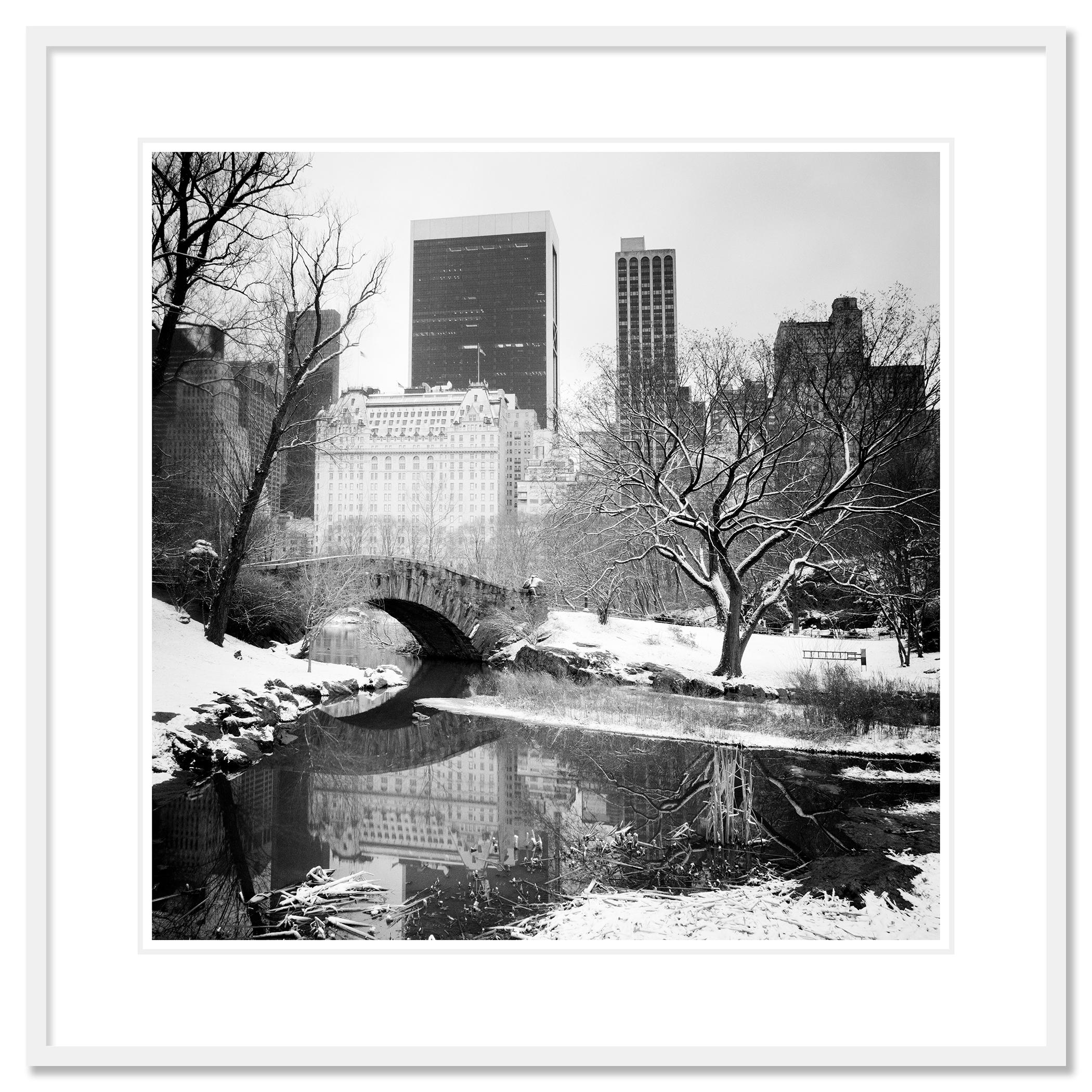 Snow covered Central Park 1, New York City, USA - no. 11869
Archival pigment ink print, edition of 9. Signed, titled, dated and numbered by artist. Certificate of authenticity included. Printed with 4cm white border. 

More Sizes:
15.75 x 15.75 in.