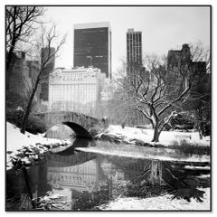 Schneebedeckter Central Park New York City begrenzt
