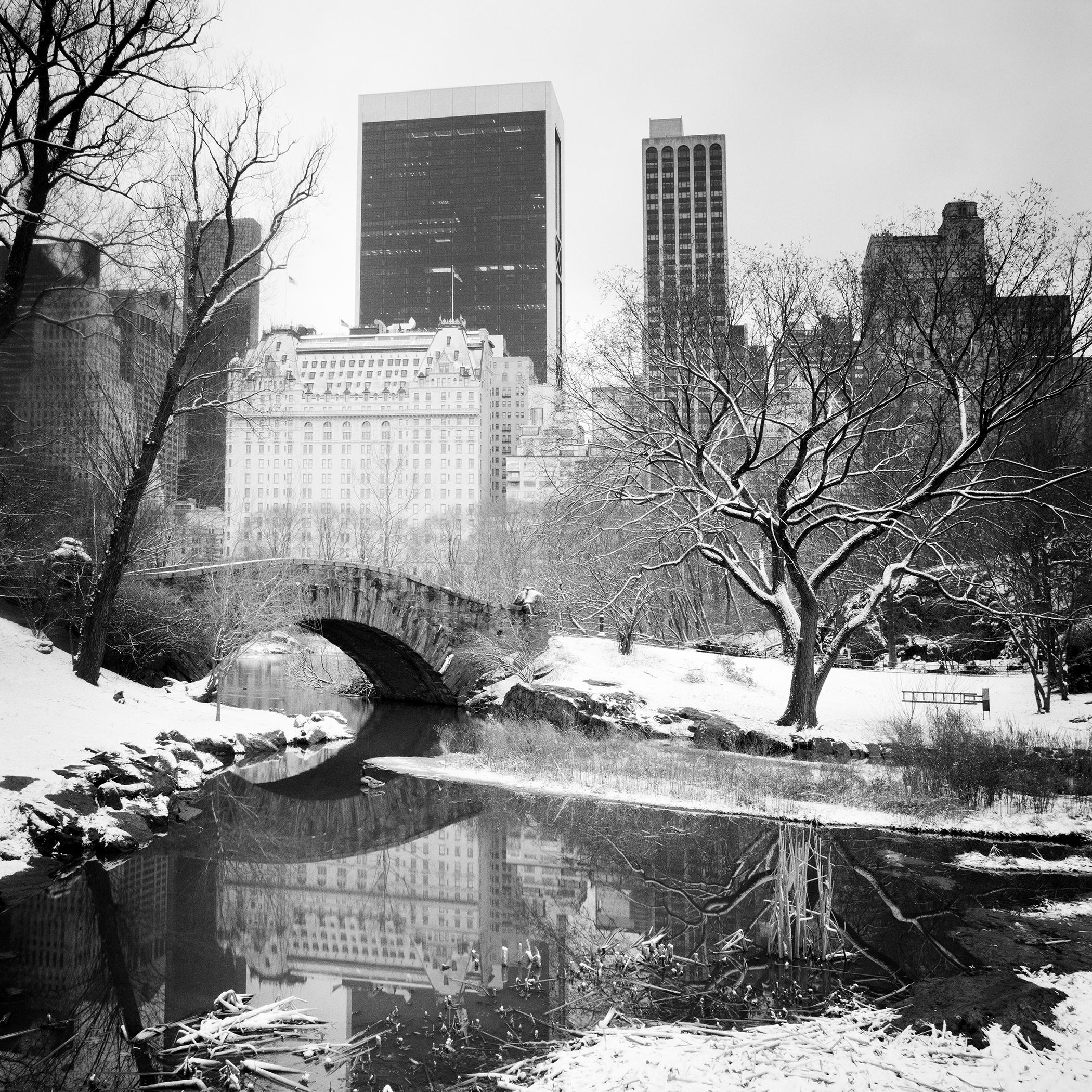 Snow covered Central Park New York City limited