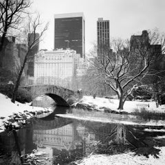 Central Park coperto di neve, New York City, fotografia in bianco e nero, limited