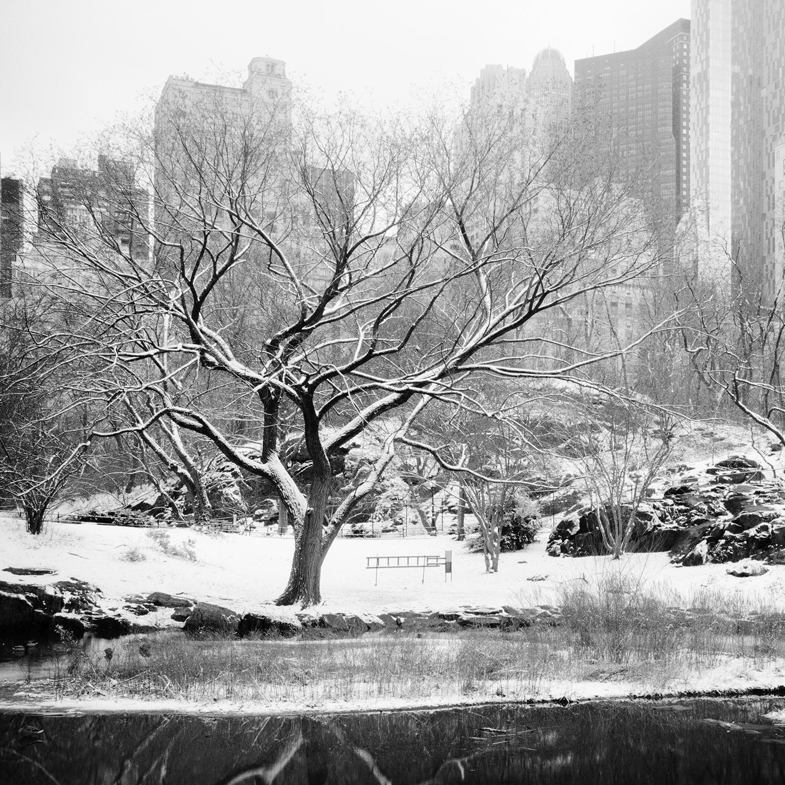 Black and whitefine art cityscape - landscape photography. Central park in winter with snow and the unique skyline in the background, New York City, USA. Archival pigment ink print, edition of 9. Signed, titled, dated and numbered by artist.