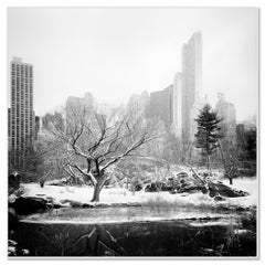 Snow covered Central Park, New York City, black and white photography, cityscape