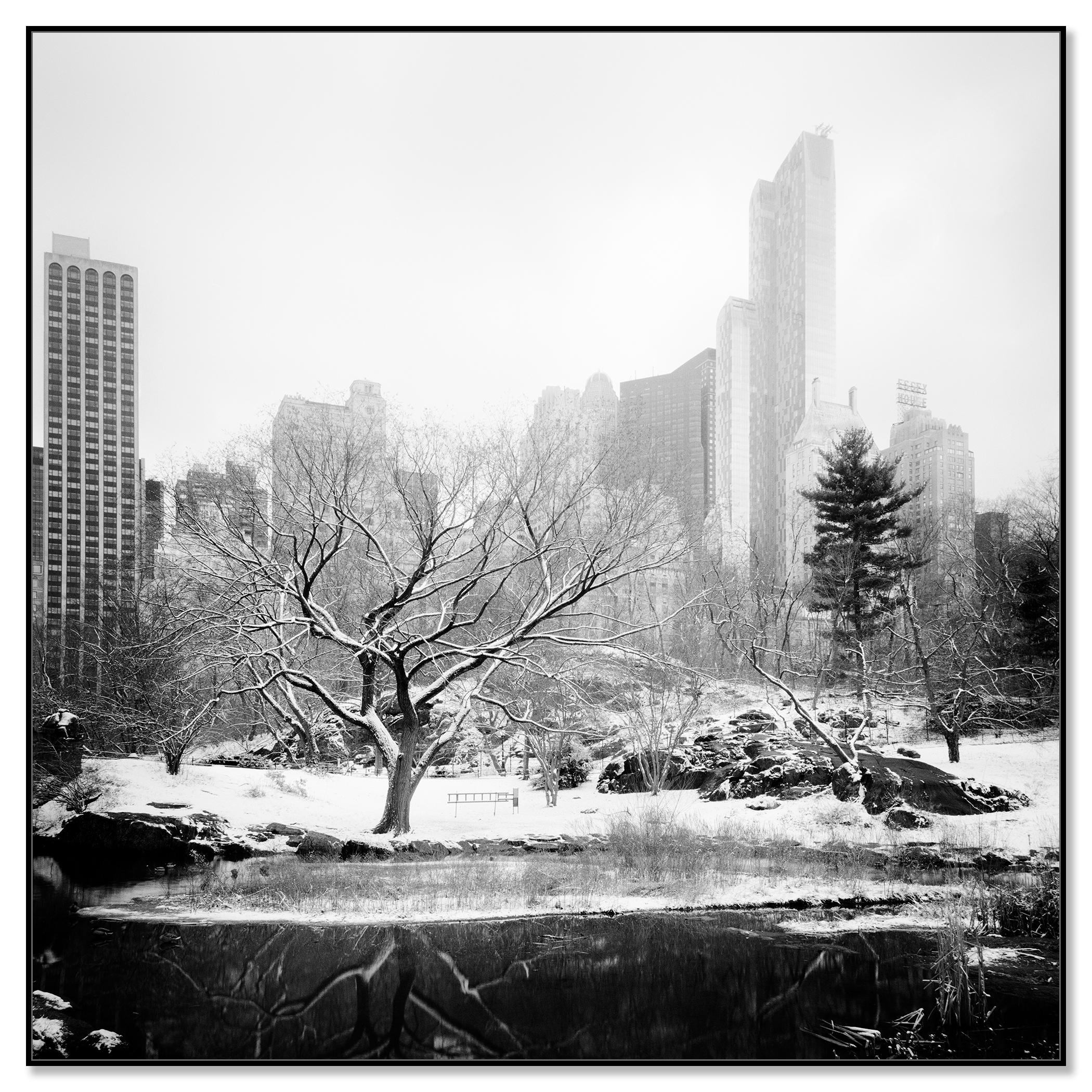 Snow covered Central Park, New York City, black and white photography, cityscape - Photograph by Gerald Berghammer