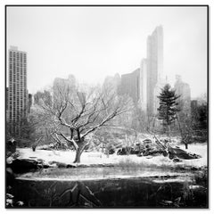 Snow covered Central Park, New York City, black and white photography, cityscape