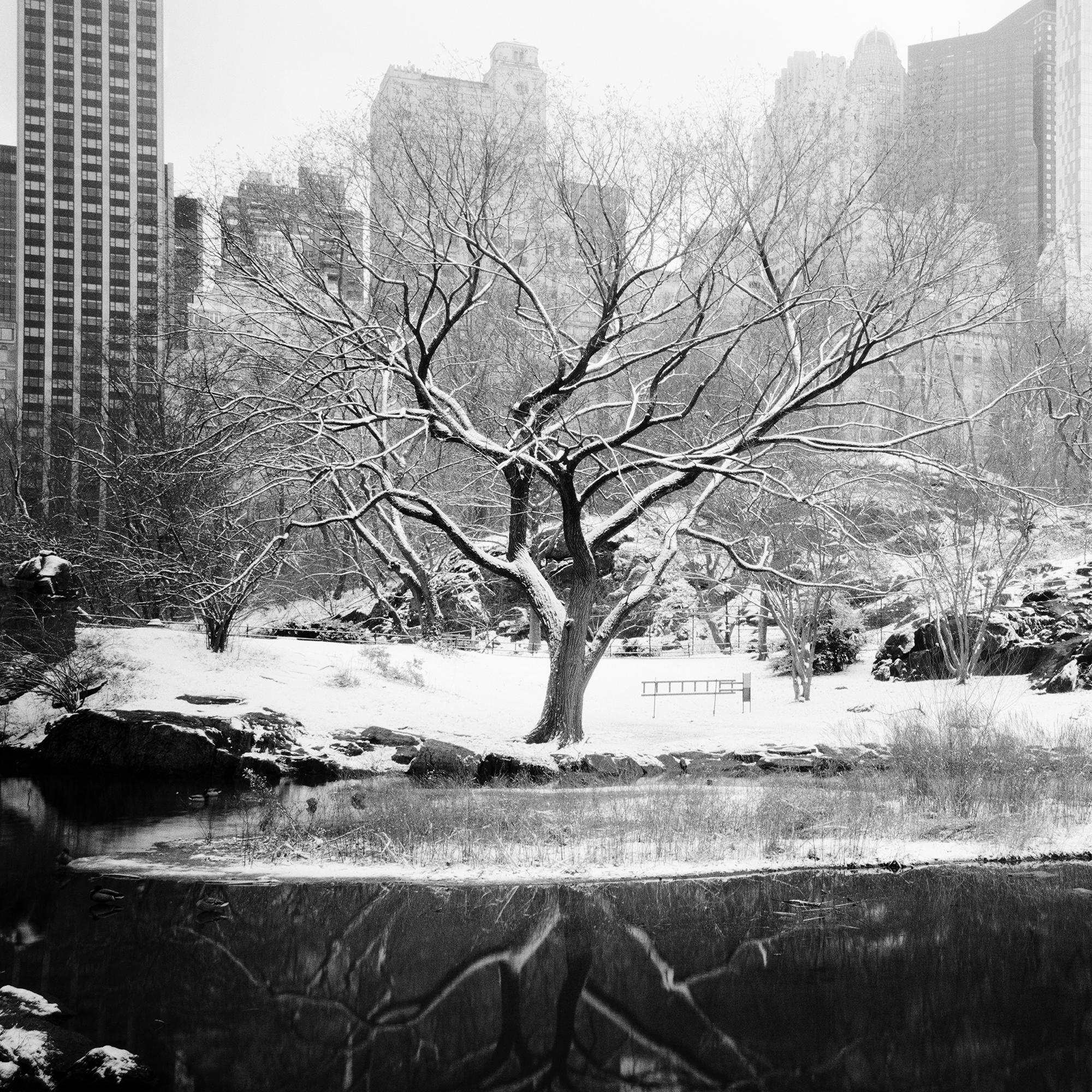 Snow covered Central Park, New York City, black and white photography, cityscape For Sale 2