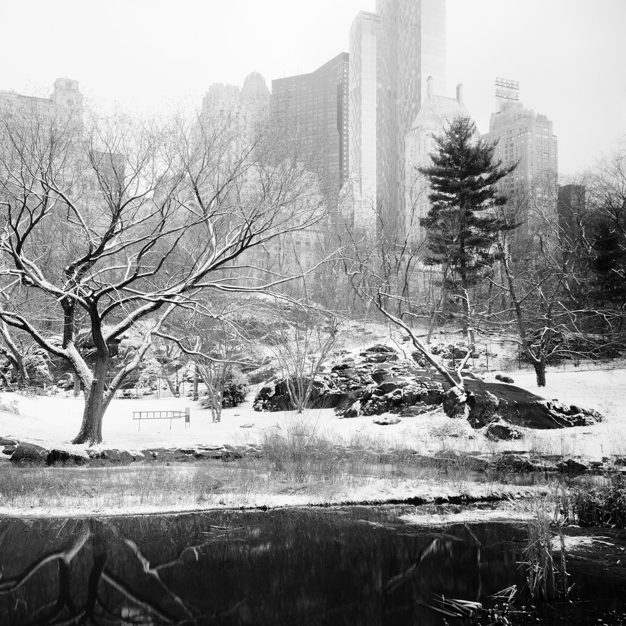 Snow covered Central Park, New York City, black and white photography, cityscape For Sale 3
