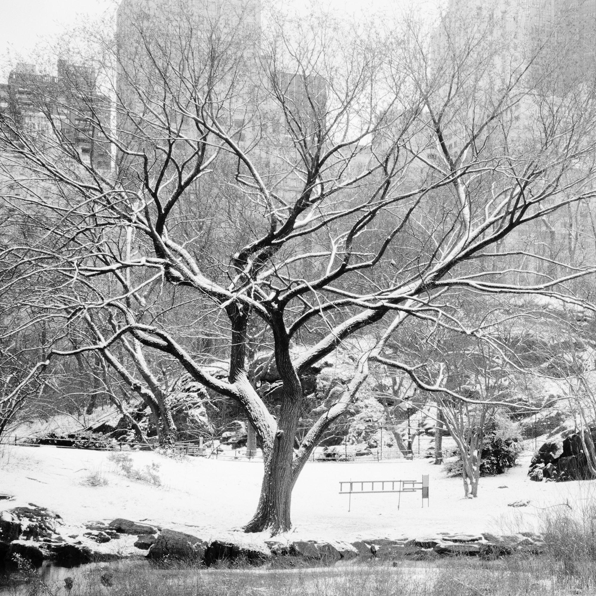 Snow covered Central Park, New York City, black and white photography, cityscape For Sale 4