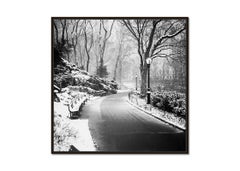 Snow covered Central Park New York USA limited