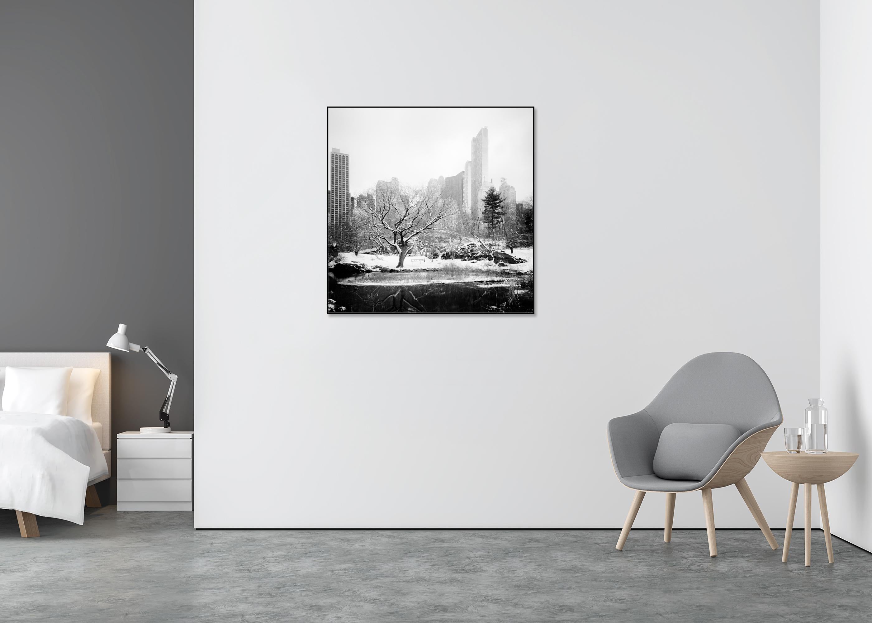 central park black and white photography