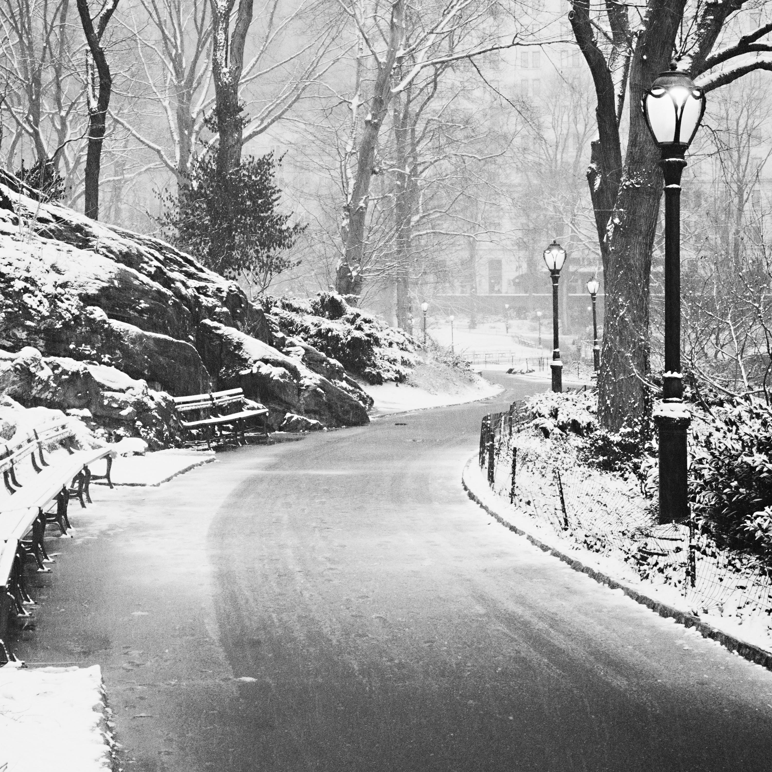 Snow covered Central Park, New York City, black and white cityscape photography For Sale 2