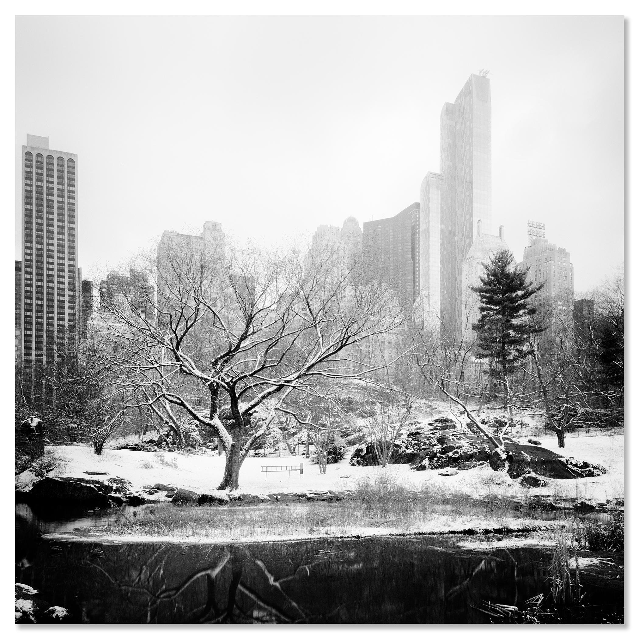 Black and whitefine art cityscape - landscape photography. Central park in winter with snow and the unique skyline in the background, New York City, USA. Archival pigment ink print, edition of 9. Signed, titled, dated and numbered by artist.