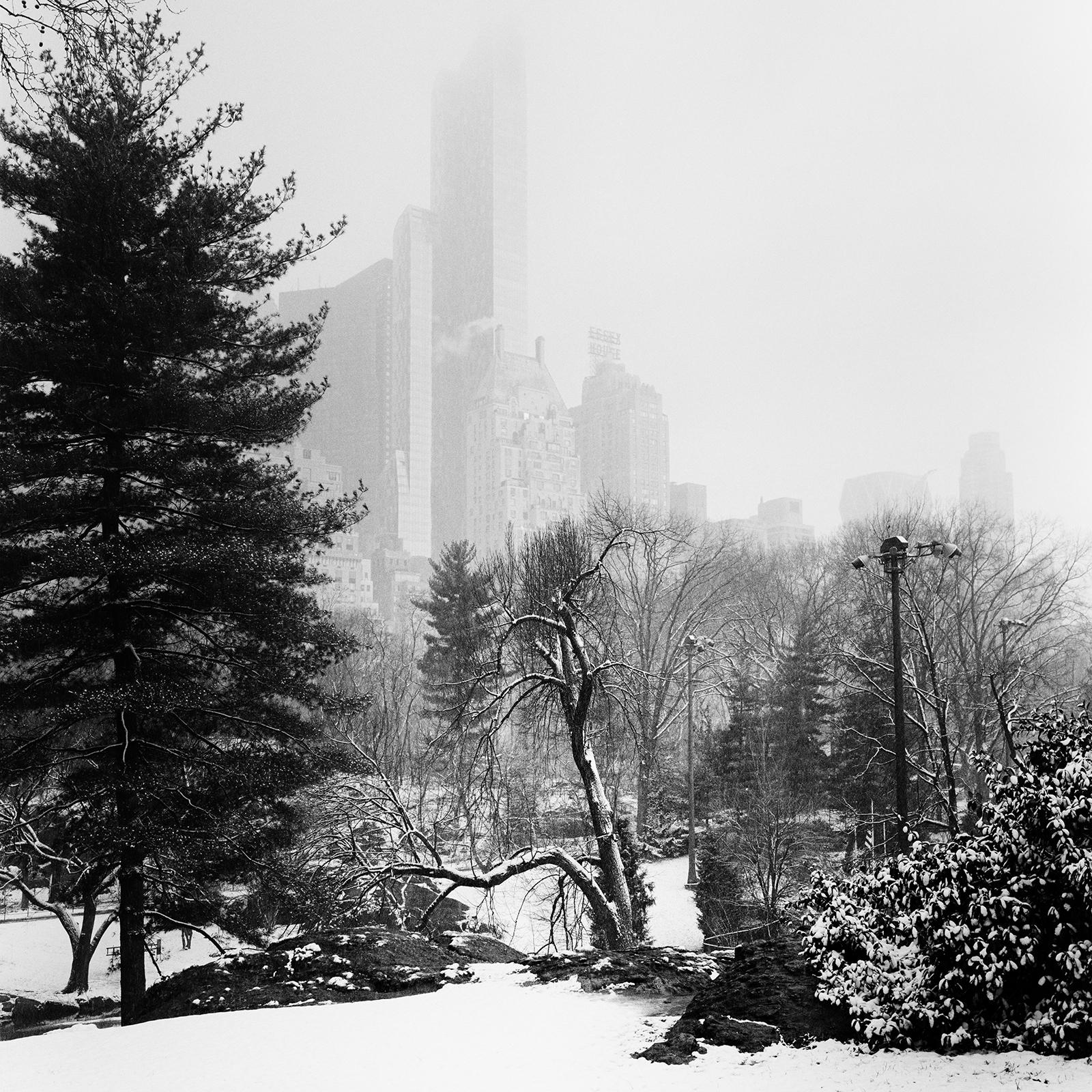 Snow Covered Central Park, New York City, black and white photography, cityscape For Sale 1