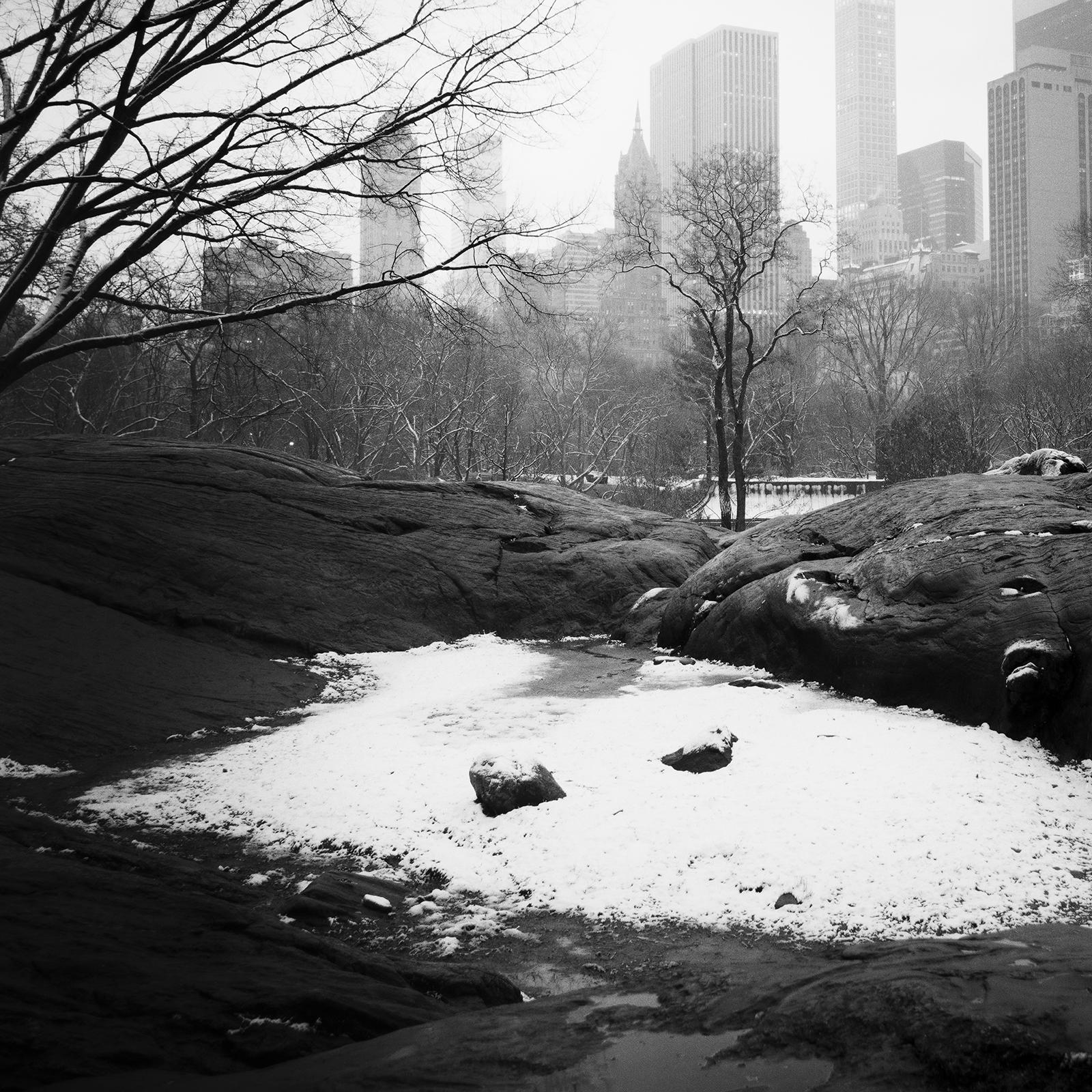 Central Park coperto di neve, New York City, fotografia in bianco e nero, paesaggio urbano in vendita 4