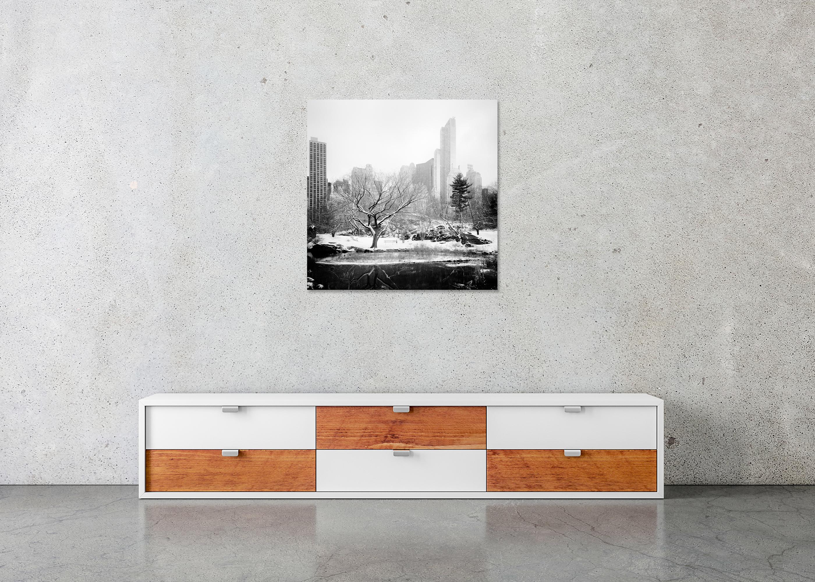 Snow covered Central Park, New York City, black and white photography, cityscape For Sale 1