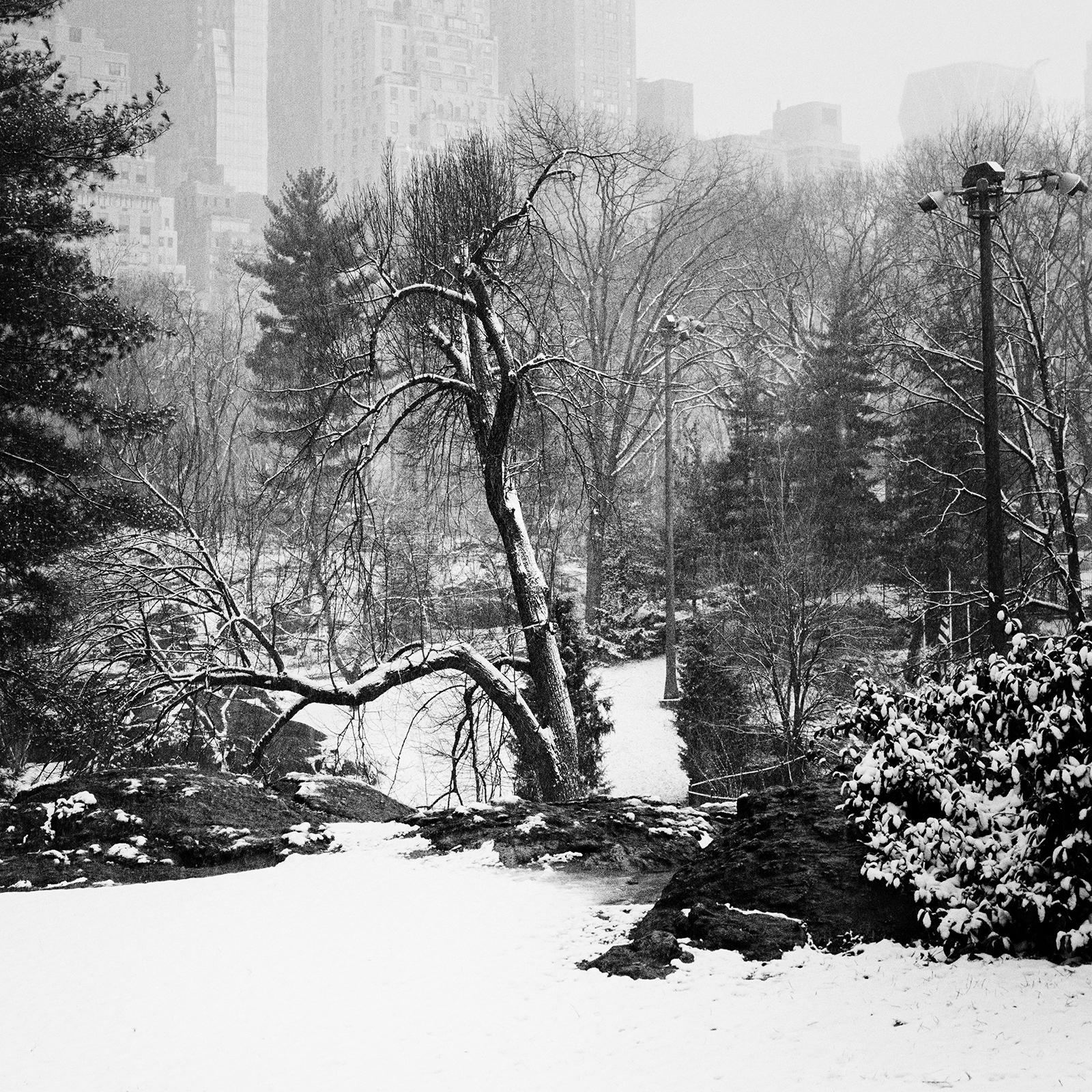 Snow Covered Central Park, New York City, black and white photography, cityscape For Sale 2