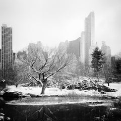 Snow covered Central Park, New York City, black and white photography, cityscape