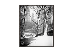 Snow covered Central Park, New York City, black and white photography, landscape