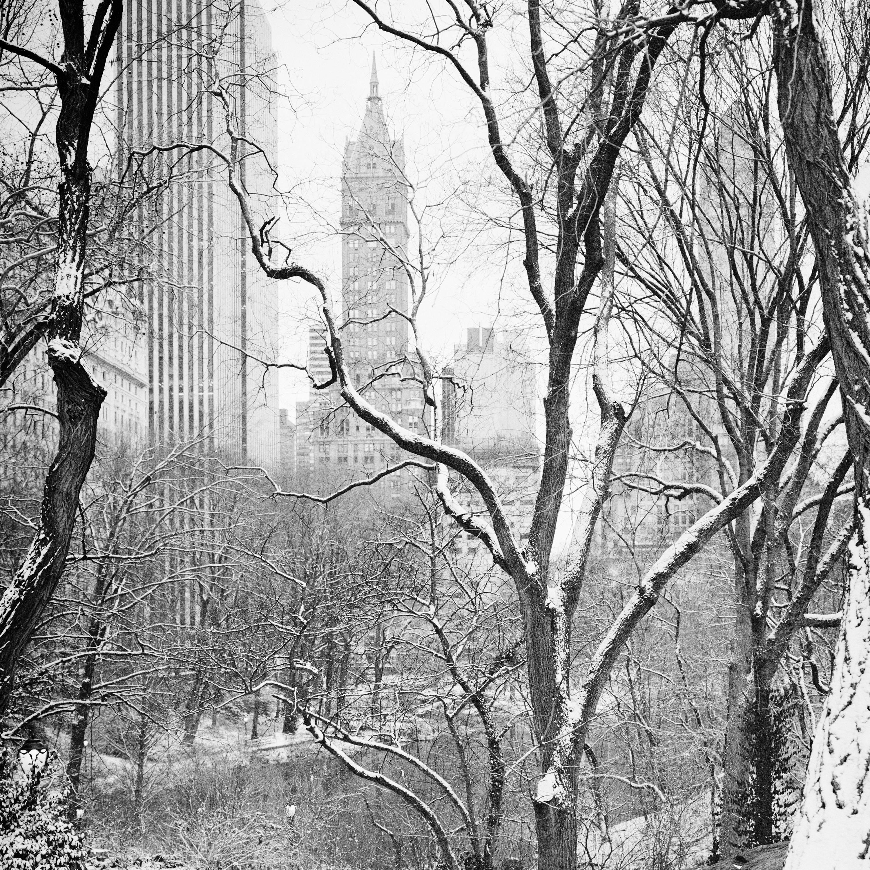 Snow covered Central Park, New York City, black and white photography, landscape For Sale 1