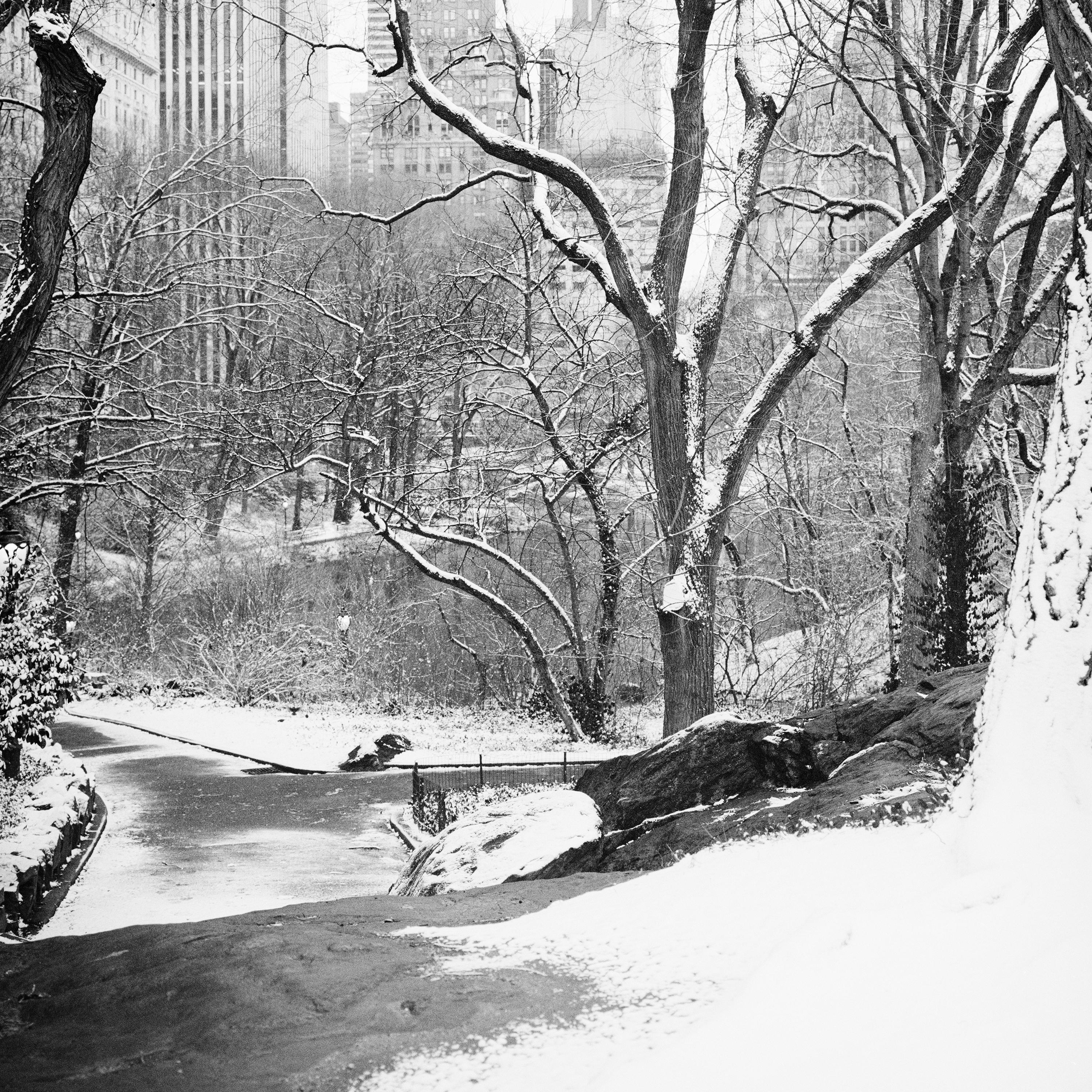 Snow covered Central Park, New York City, black and white photography, landscape For Sale 2