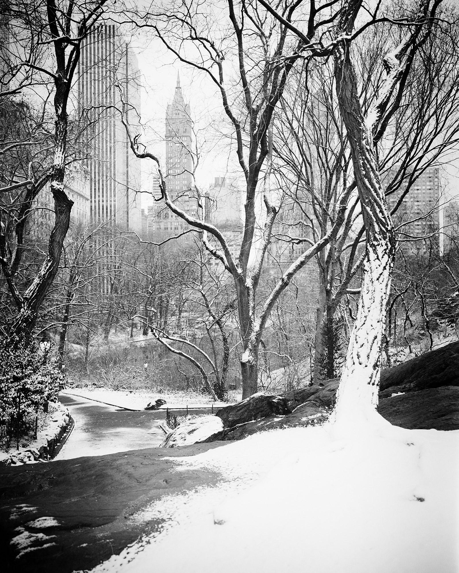 Gerald Berghammer Black and White Photograph - Snow covered Central Park, New York City, black and white photography, landscape