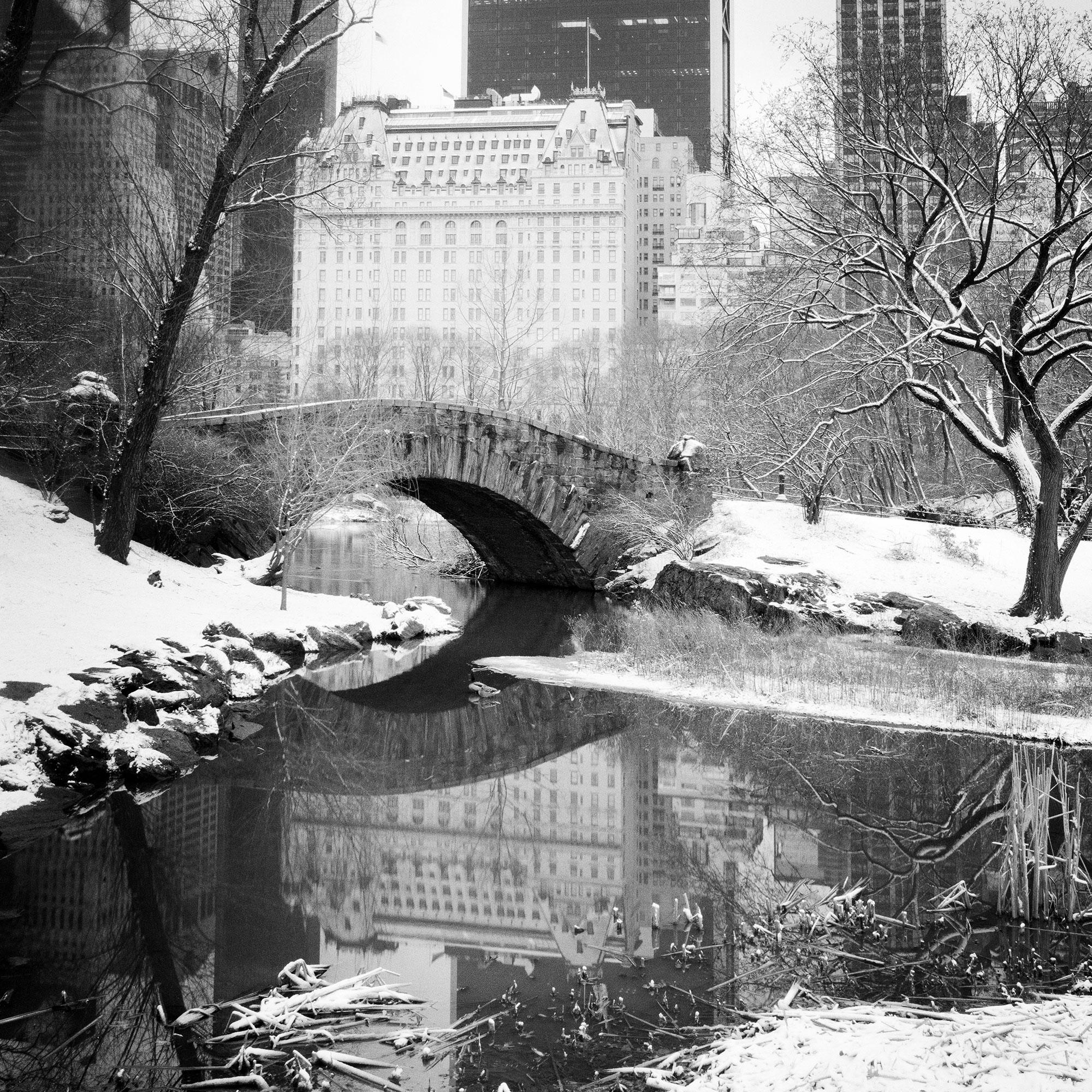 Snow covered Central Park New York City limited For Sale 4