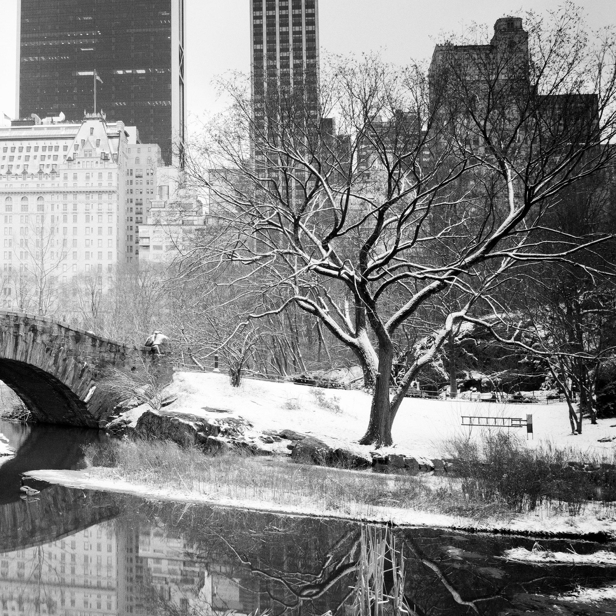 Snow covered Central Park New York City limited For Sale 5