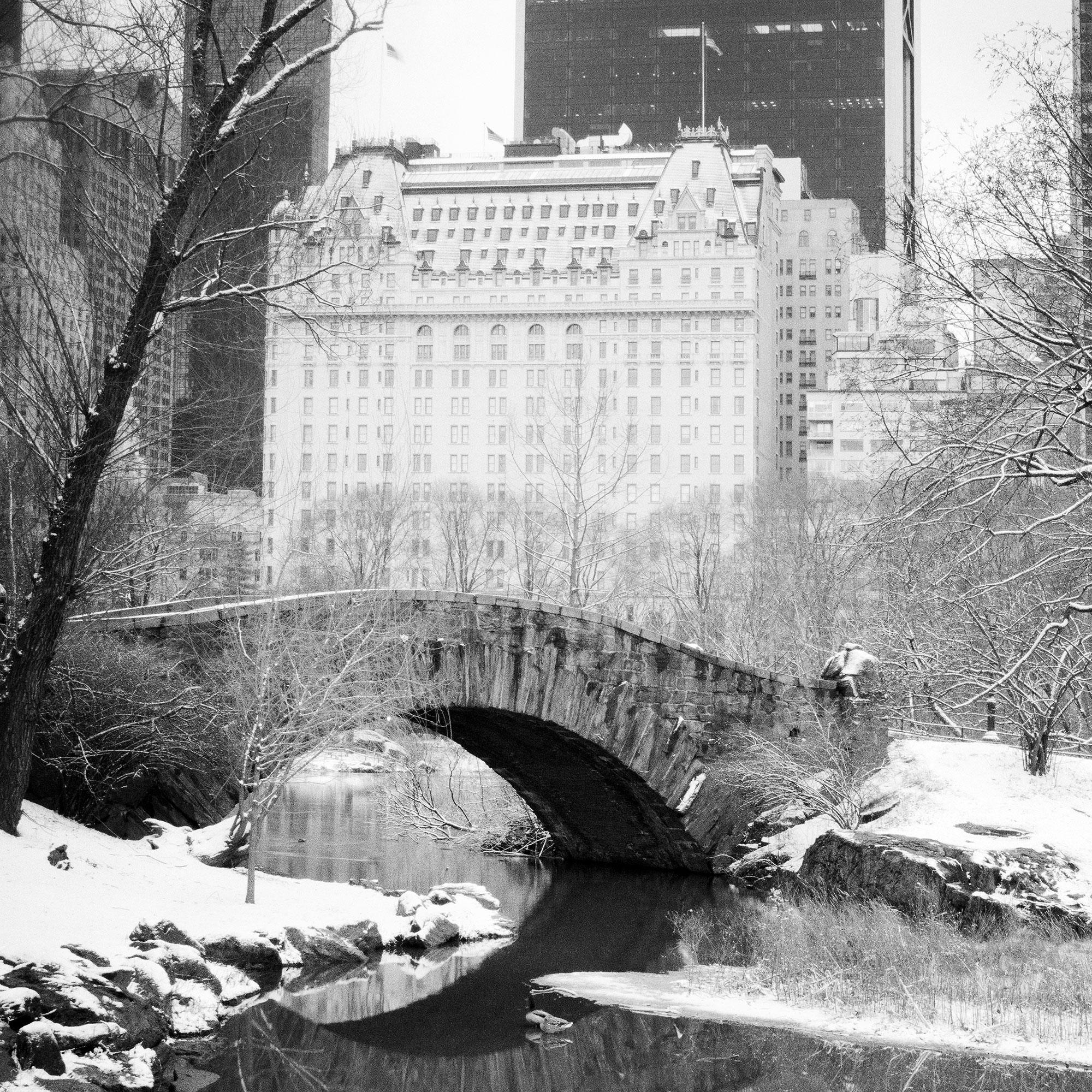 Snow covered Central Park New York City limited For Sale 6