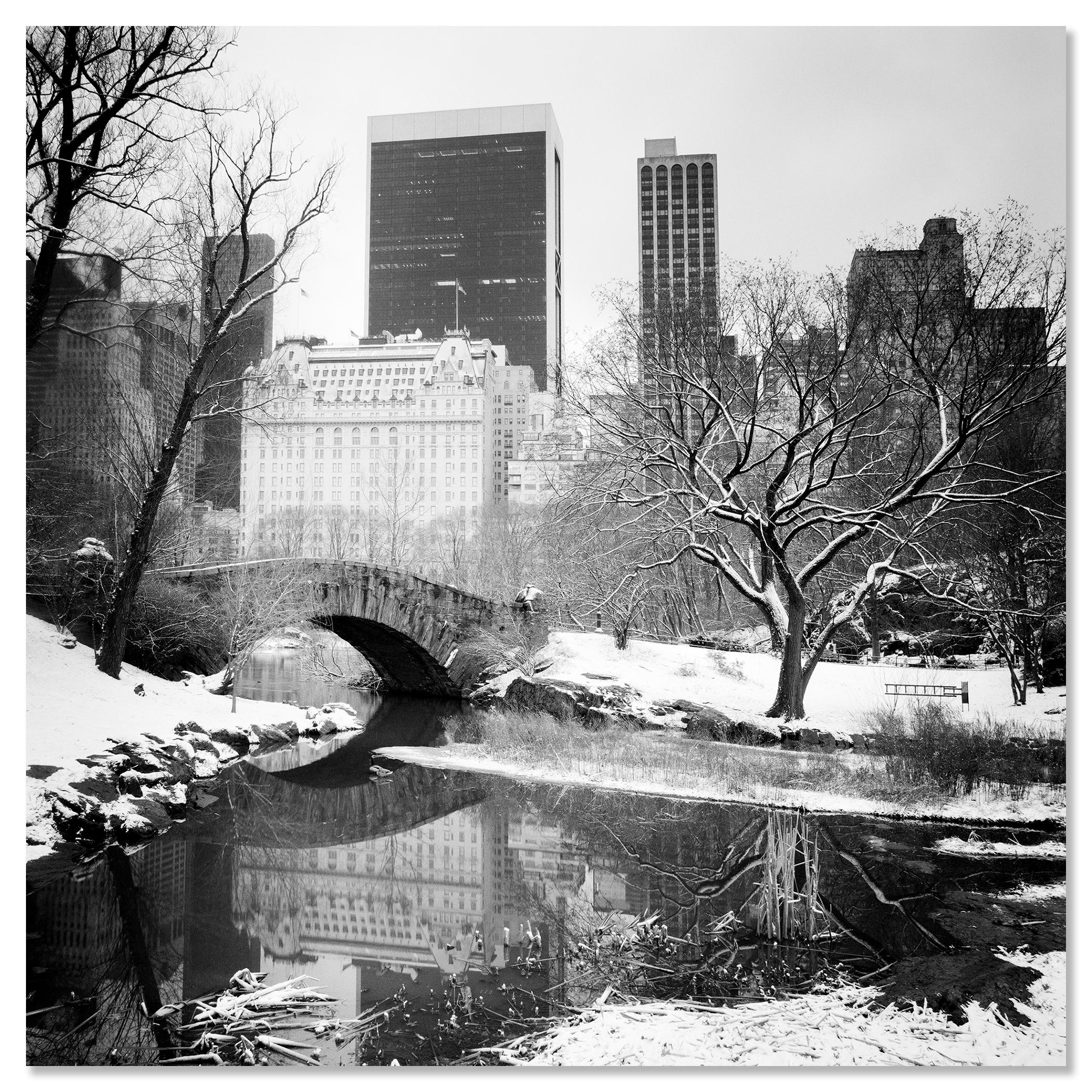 Snow covered Central Park New York City limited For Sale 2
