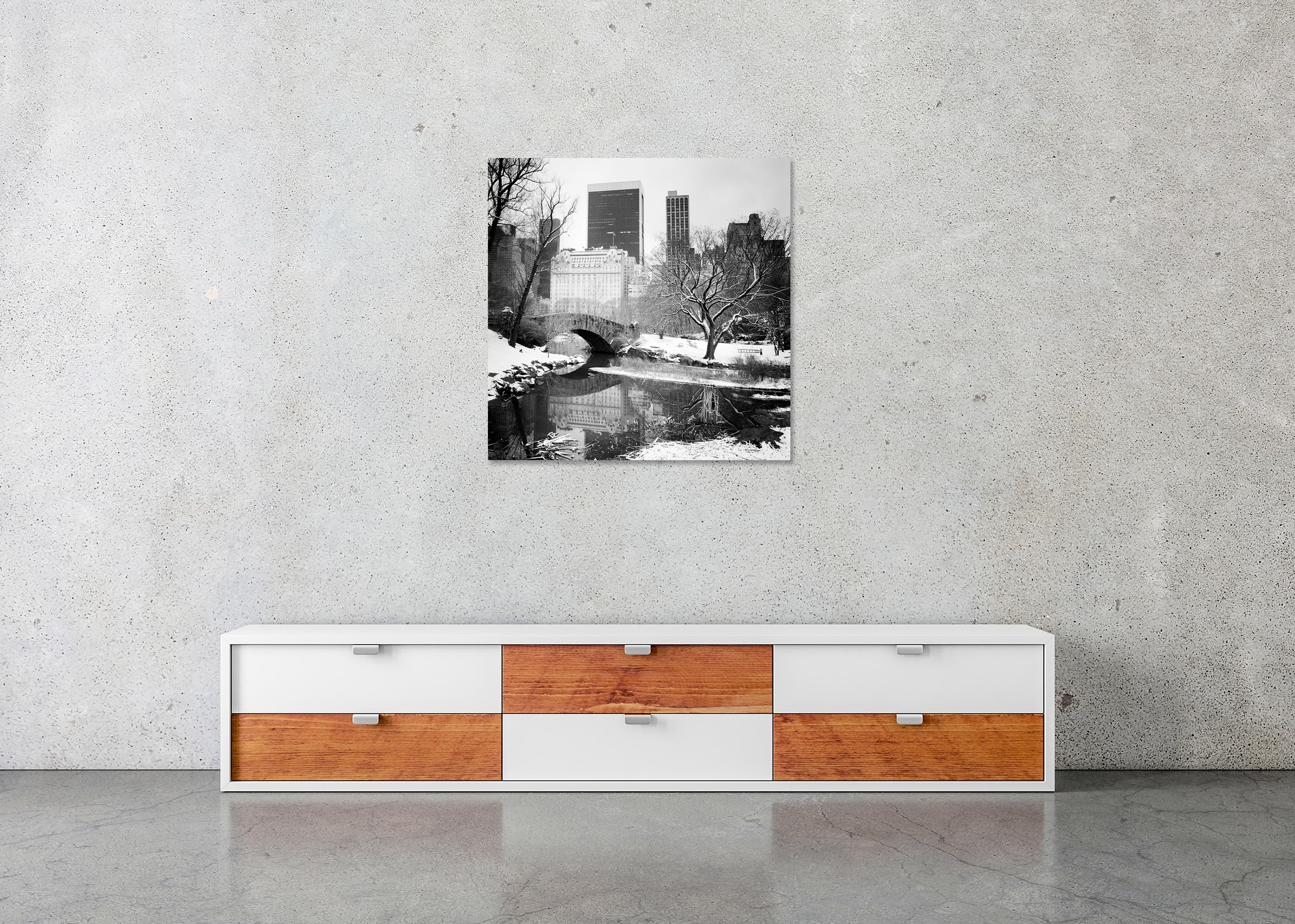 Snow covered Central Park New York City limited For Sale 3