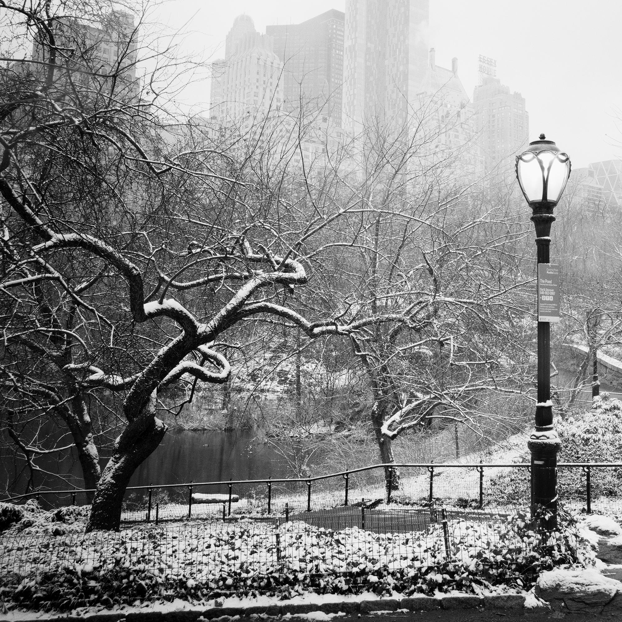 Snow covered Central Park New York City monocome cityscape For Sale 4