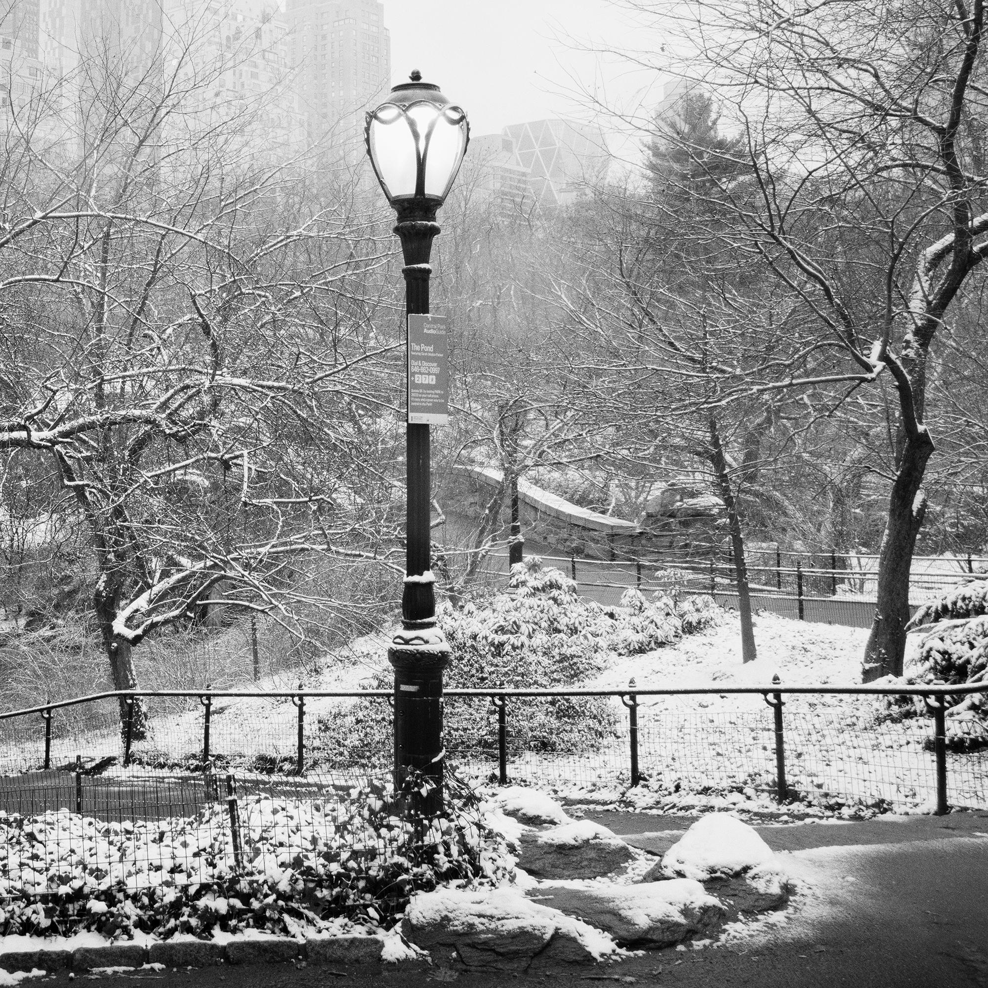 Snow covered Central Park New York City monocome cityscape For Sale 5