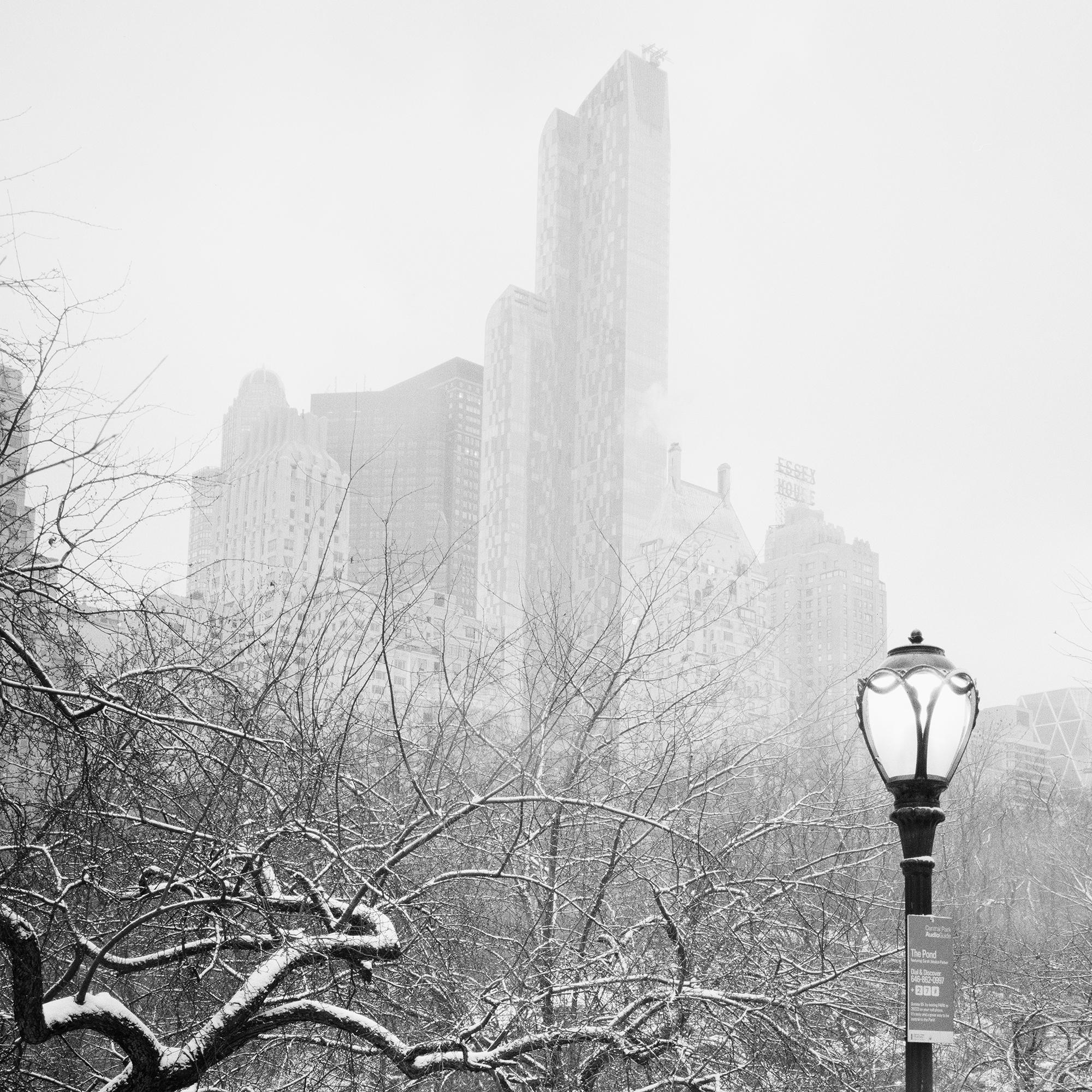 Snow covered Central Park New York City monocome cityscape For Sale 6