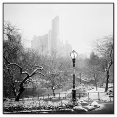 Central Park enneigé New York City monocome paysage urbain