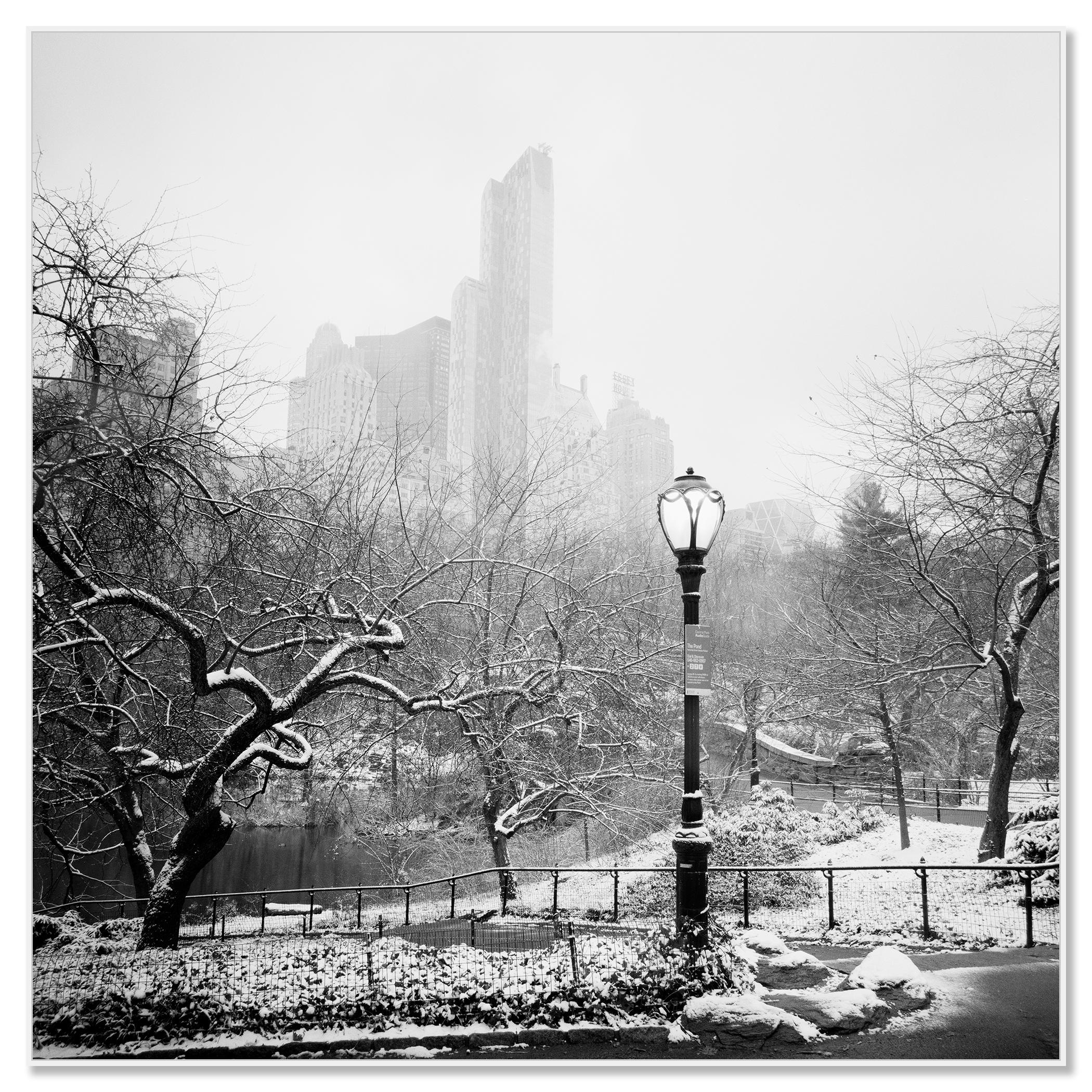 central park black and white photography