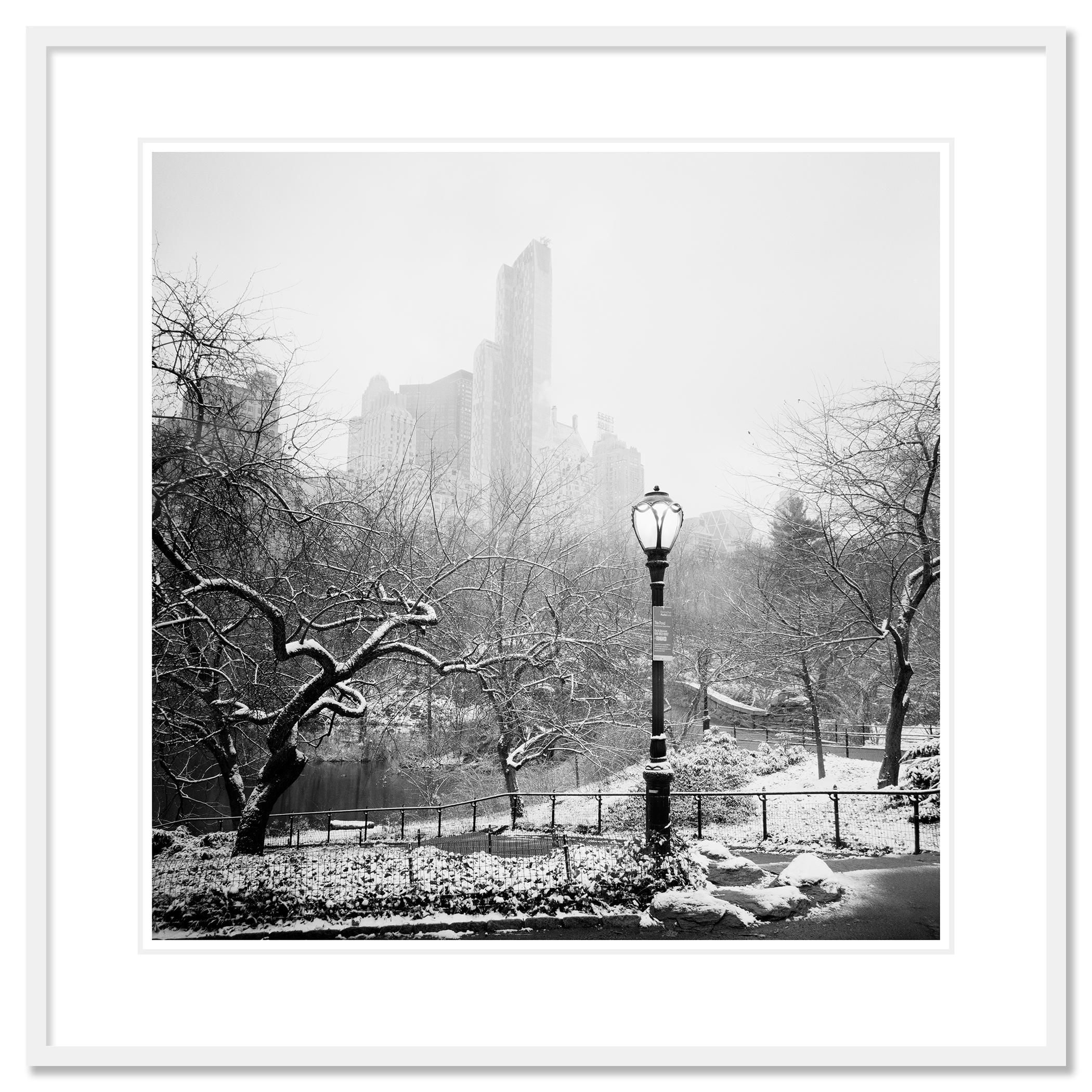 Archival pigment ink print, edition of 9. Signed, titled, dated and numbered by Gerald Berghammer. Certificate of authenticity included. Printed with 4cm white border.

More Sizes:
40 x 40 cm / 15.7 x 15.7 in - edition of 9
60 x 60 cm / 23.6 x 23.6