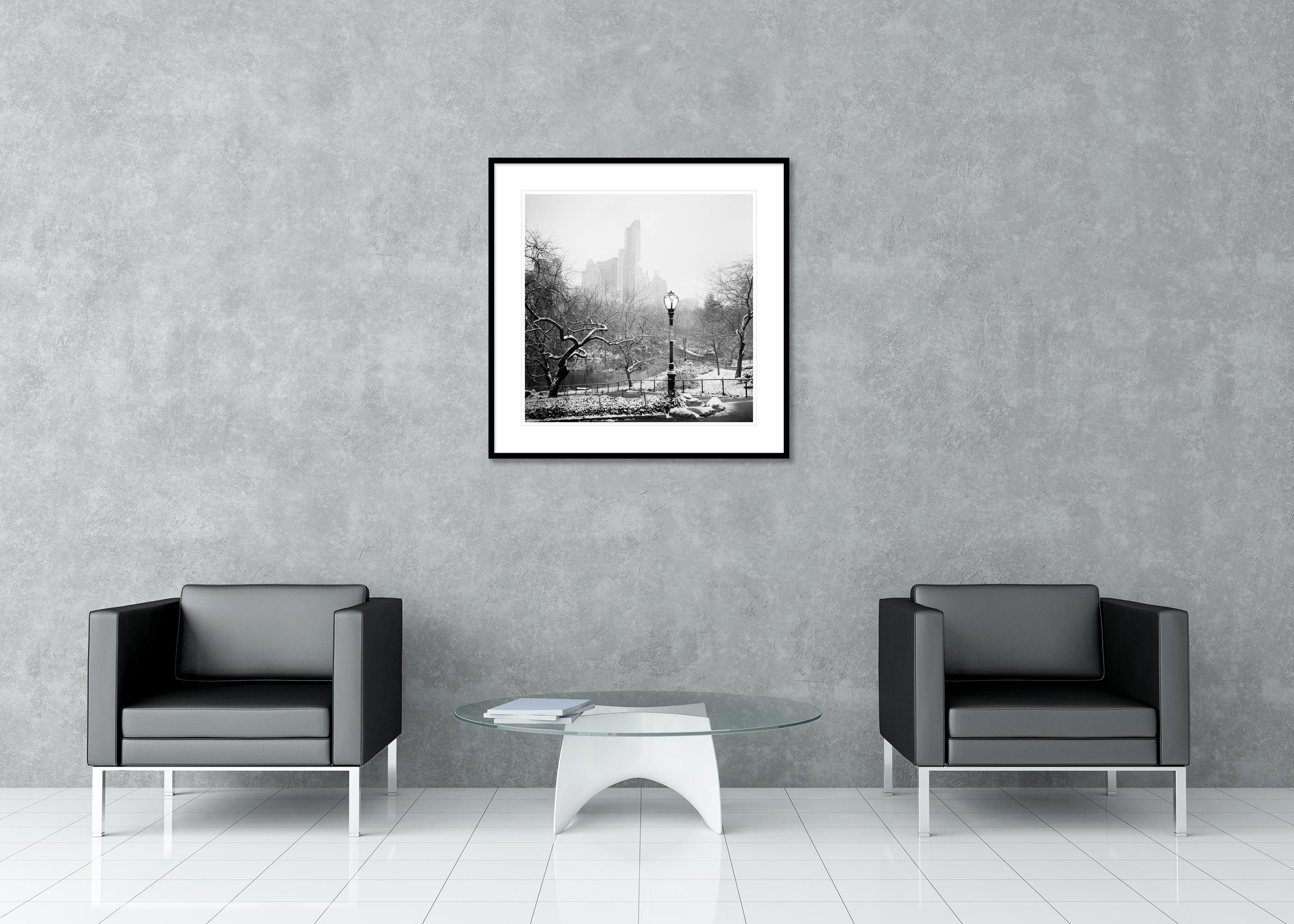 Snow covered Central Park New York City monocome cityscape For Sale 1
