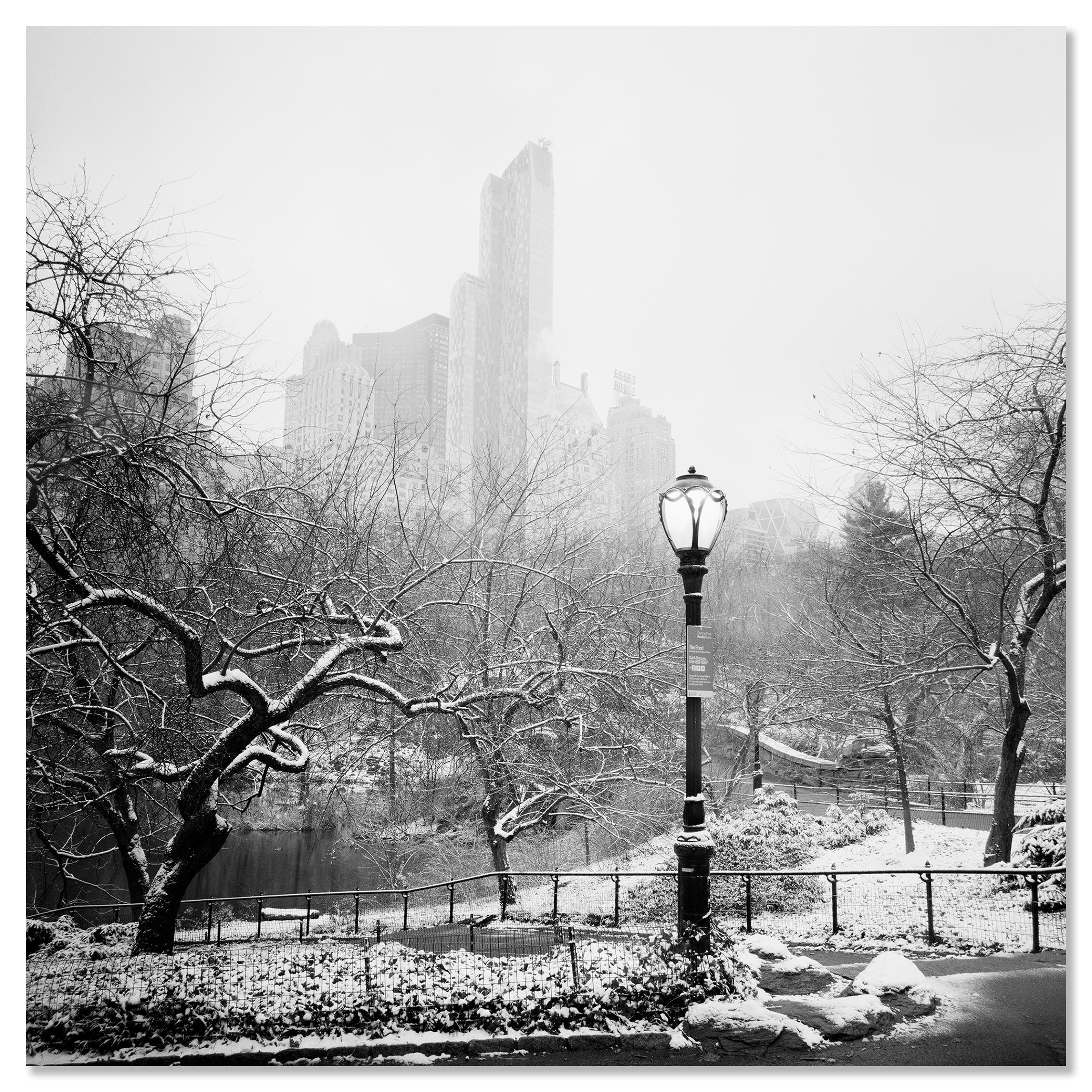 Snow covered Central Park New York City monocome cityscape For Sale 2