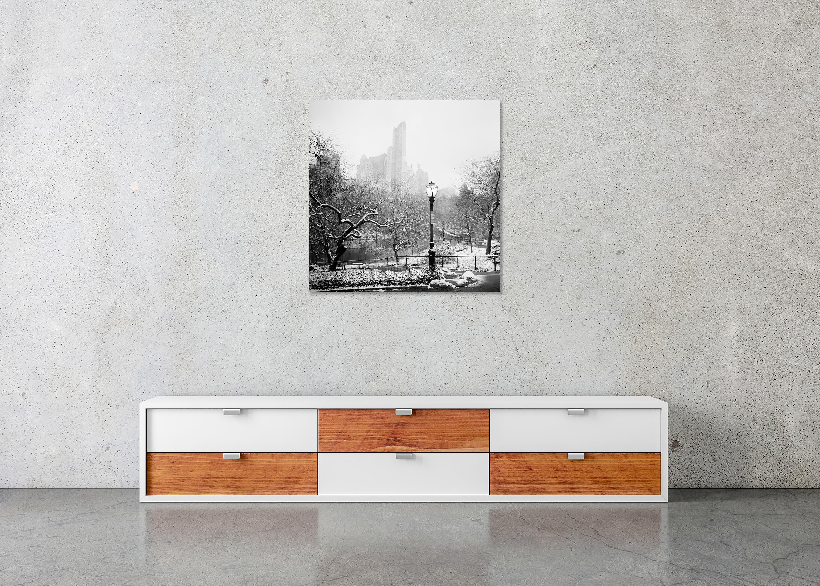 Snow covered Central Park New York City monocome cityscape For Sale 3
