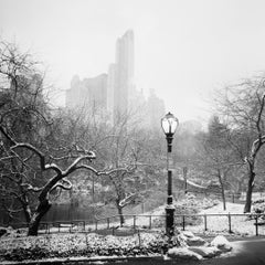 Snow covered Central Park New York City monocome cityscape