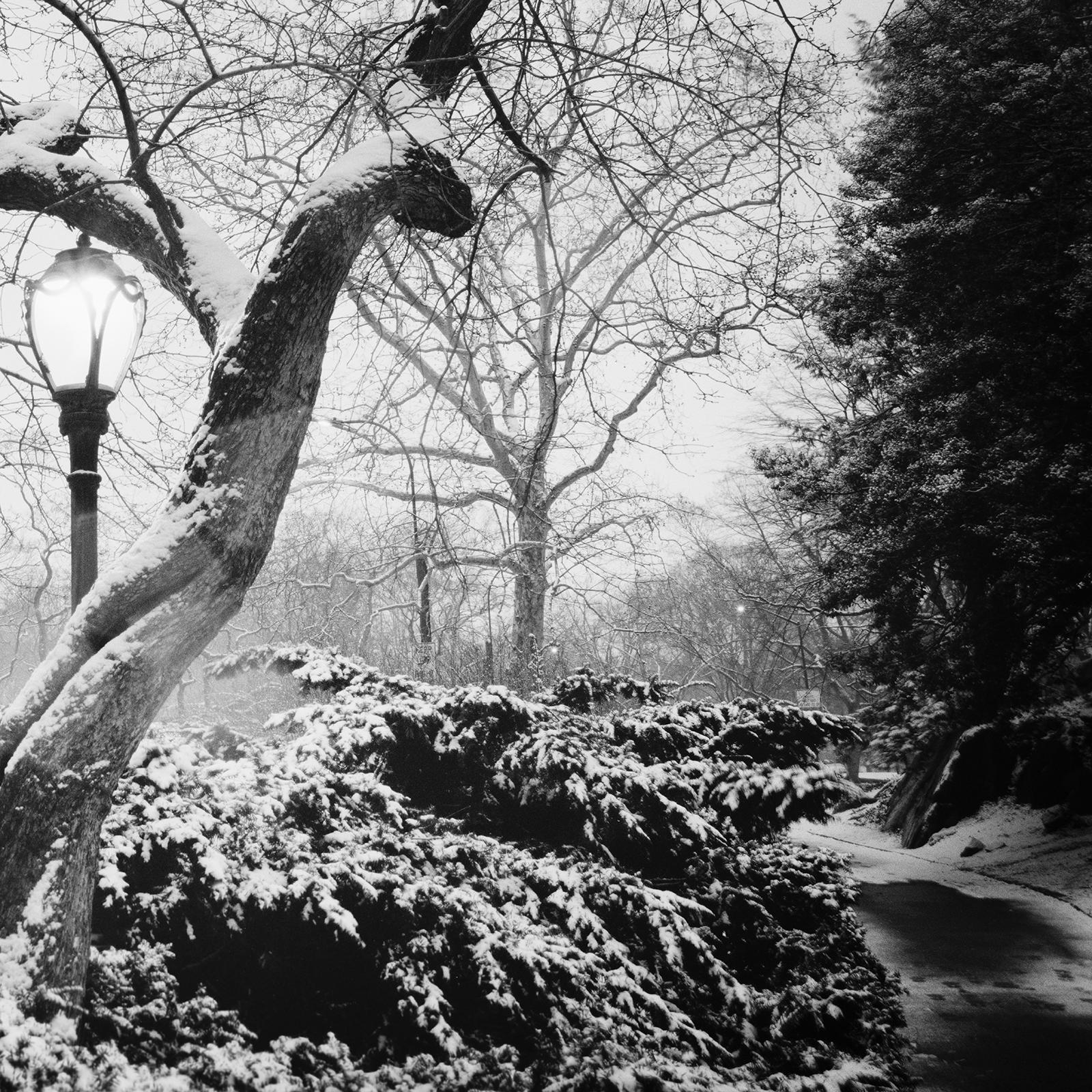 Snow covered Central Park, New York, USA, black and white photography, cityscape For Sale 4