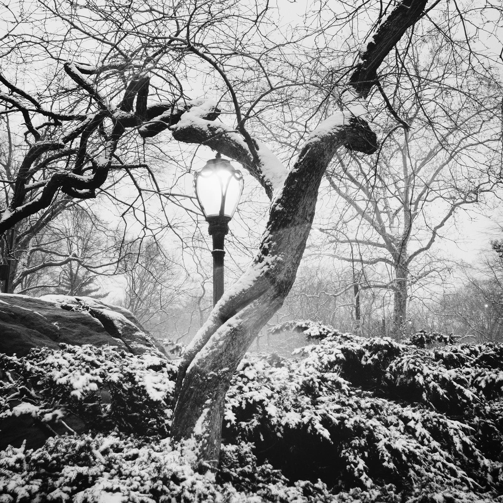 Snow covered Central Park, New York, USA, black and white photography, cityscape For Sale 2