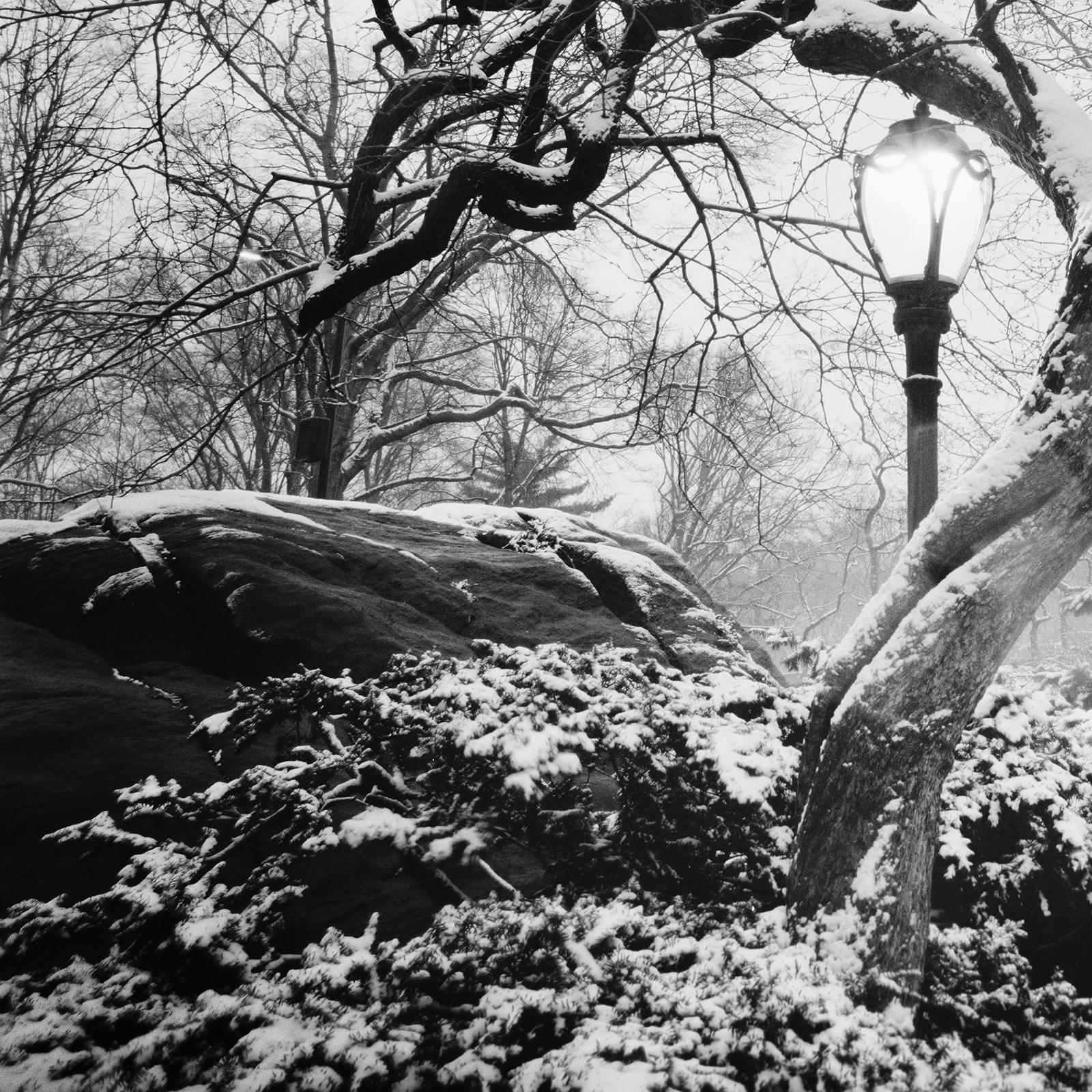 Snow covered Central Park, New York, USA, black and white photography, cityscape For Sale 3