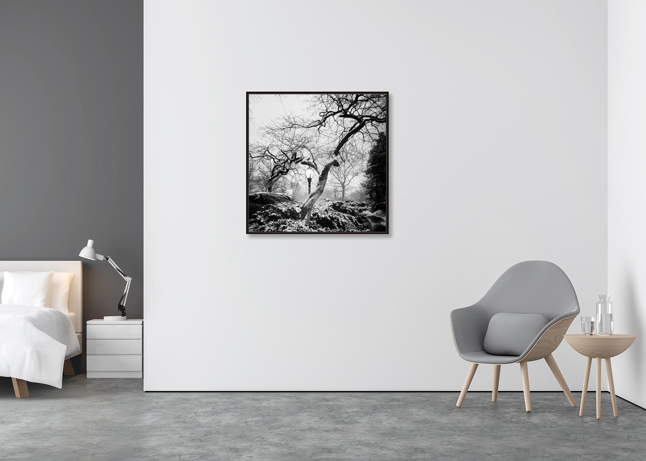 Central Park enneigé, New York, USA, photographie noir et blanc, paysage urbain - Contemporain Photograph par Gerald Berghammer