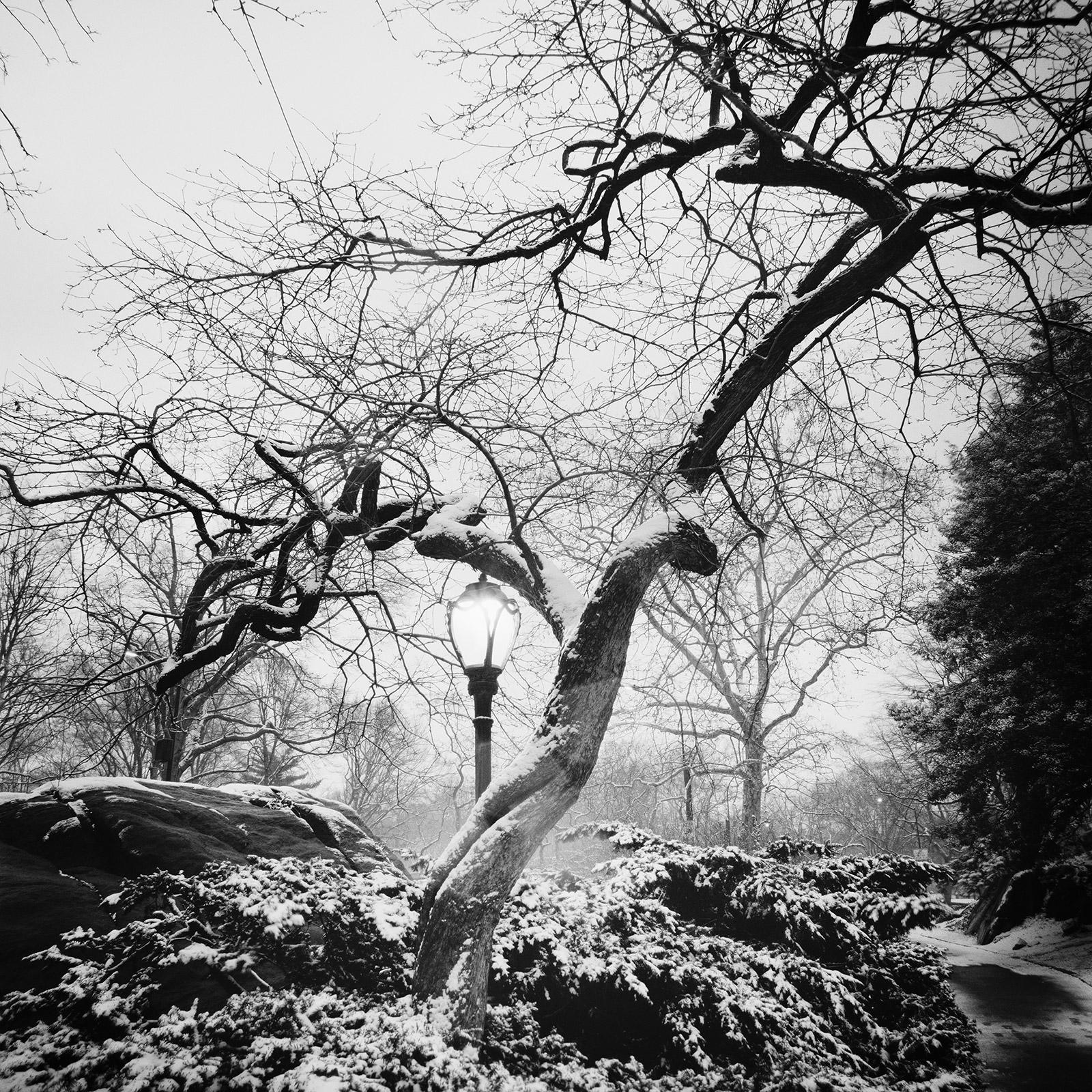 Gerald Berghammer Black and White Photograph - Snow covered Central Park, New York, USA, black and white photography, cityscape